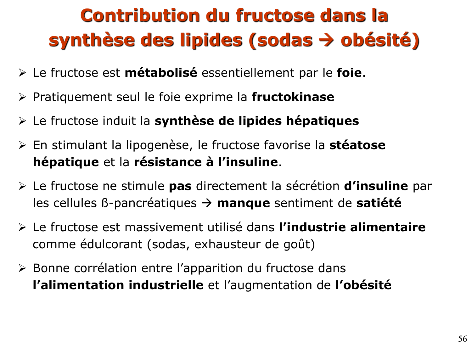 3. Métabolisme des triglycérides page 56