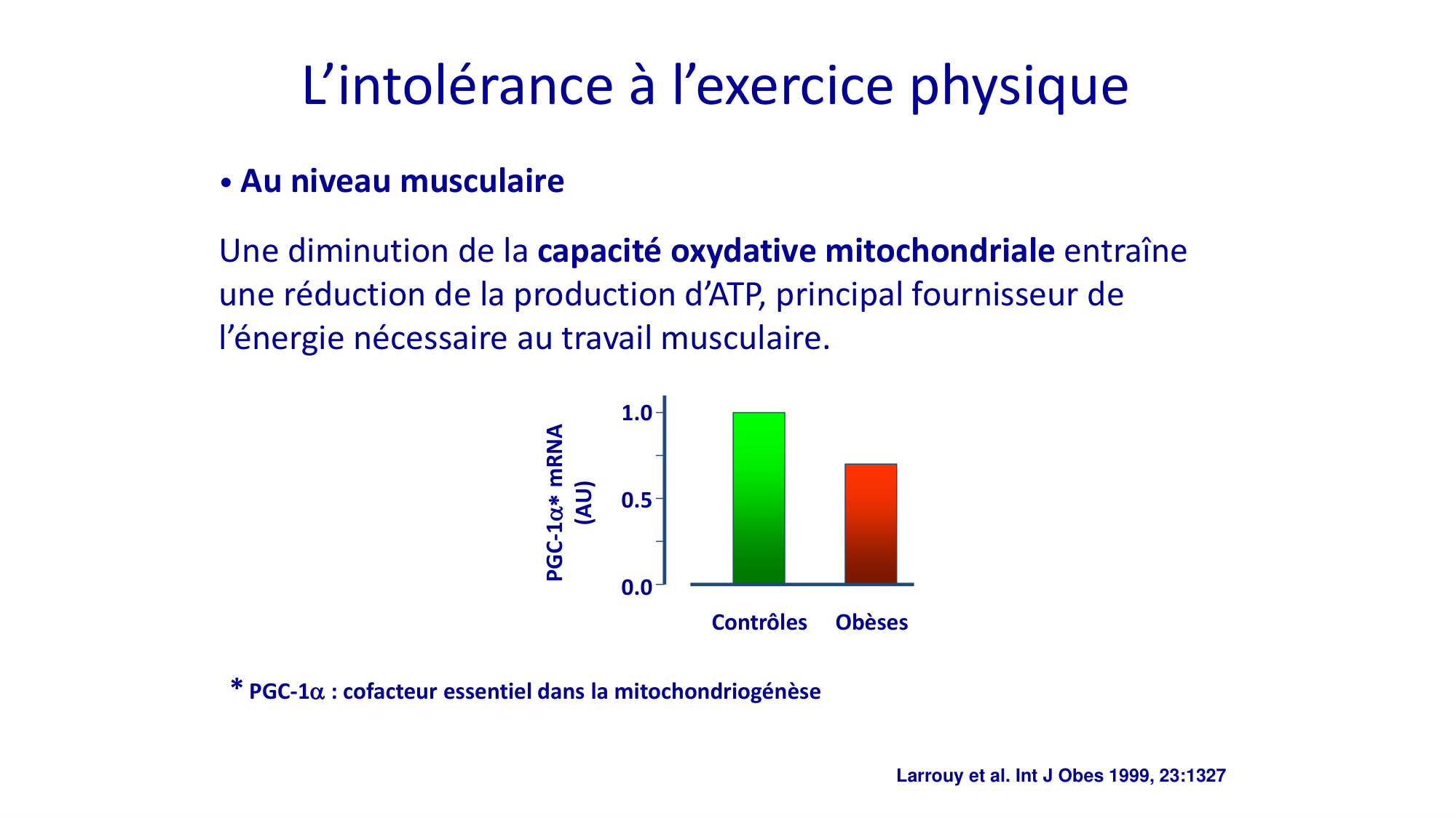 Activité physique 2026 page 19