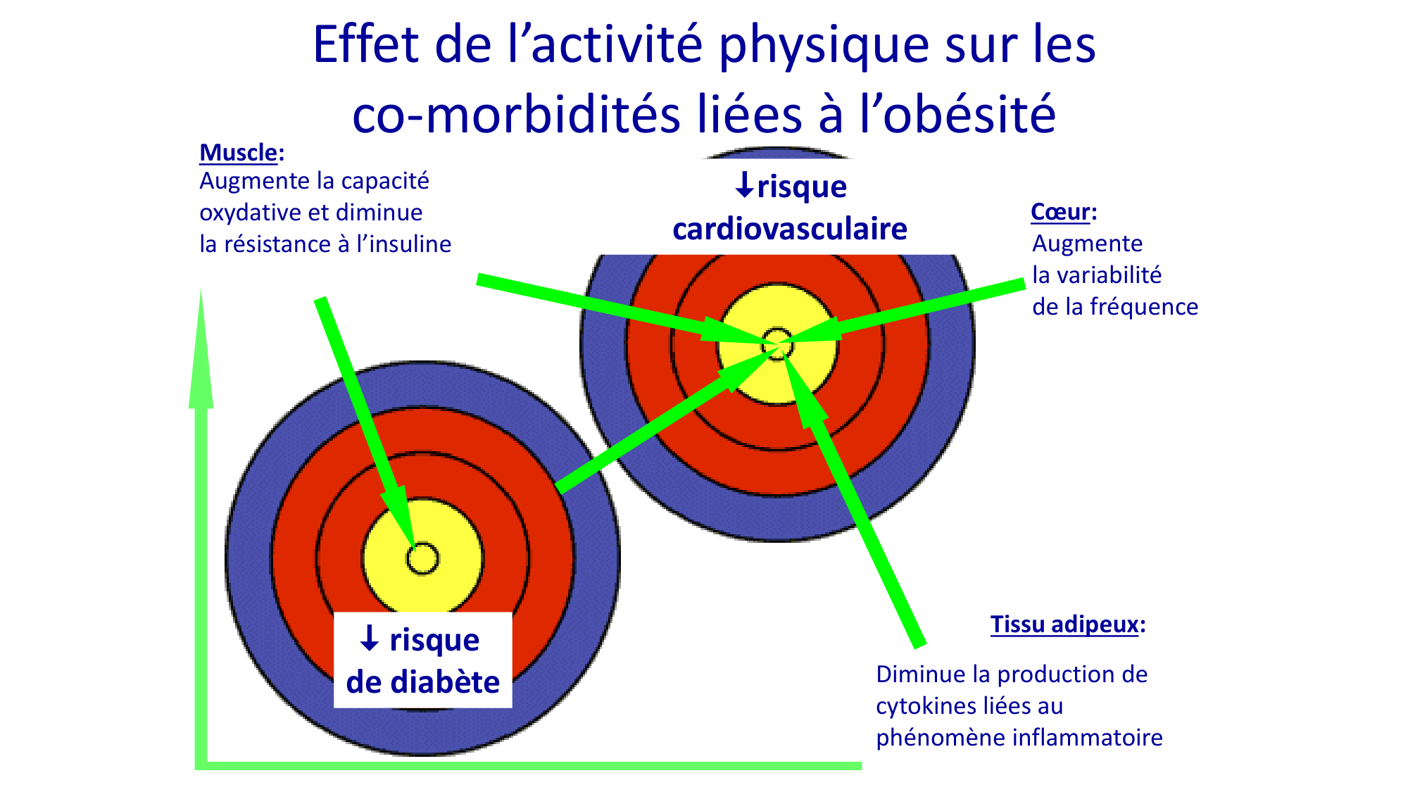 Activité physique 2026 page 22