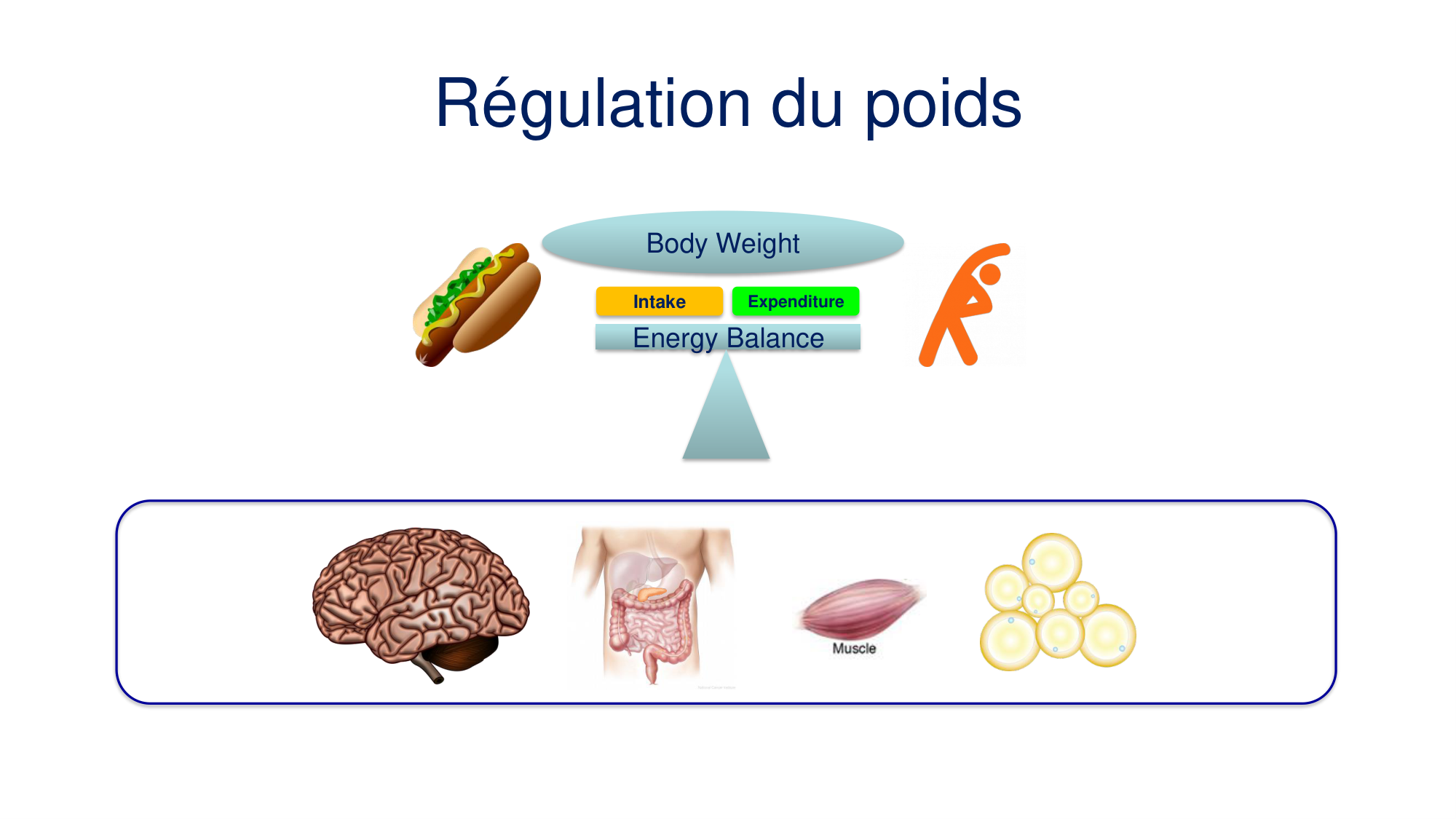 Balance énergétique 2026 page 6