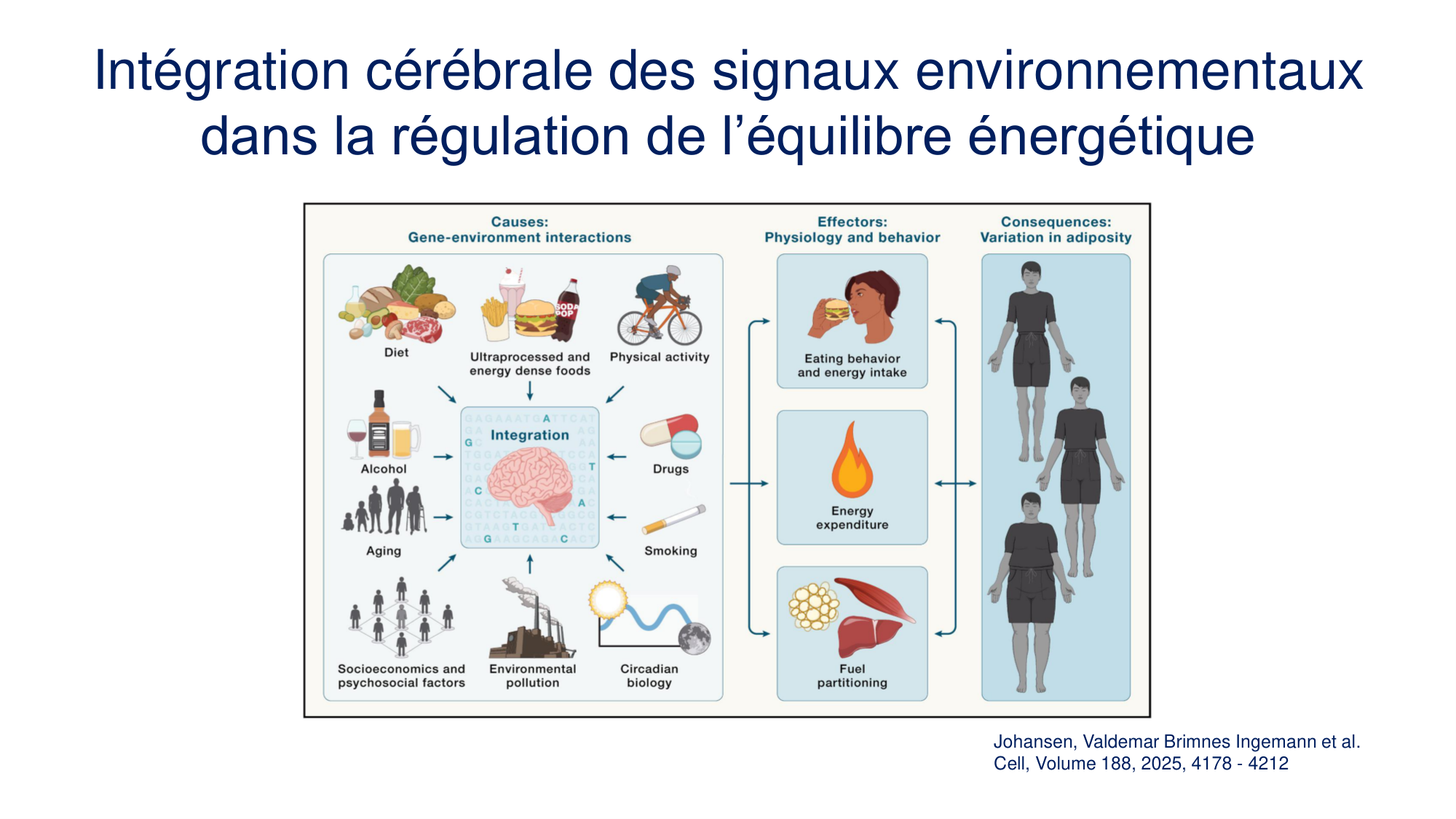 Balance énergétique 2026 page 7
