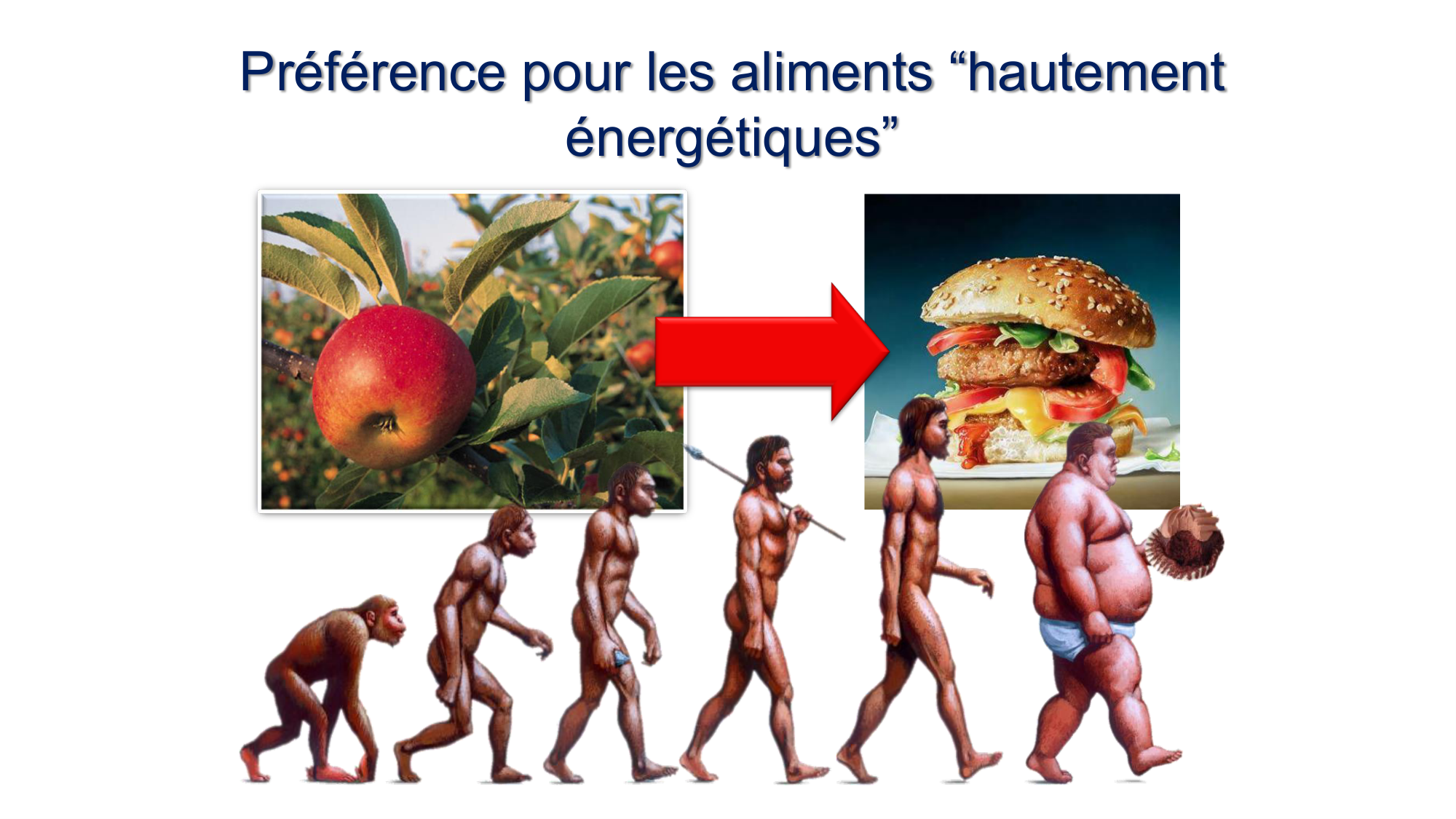 Balance énergétique 2026 page 14