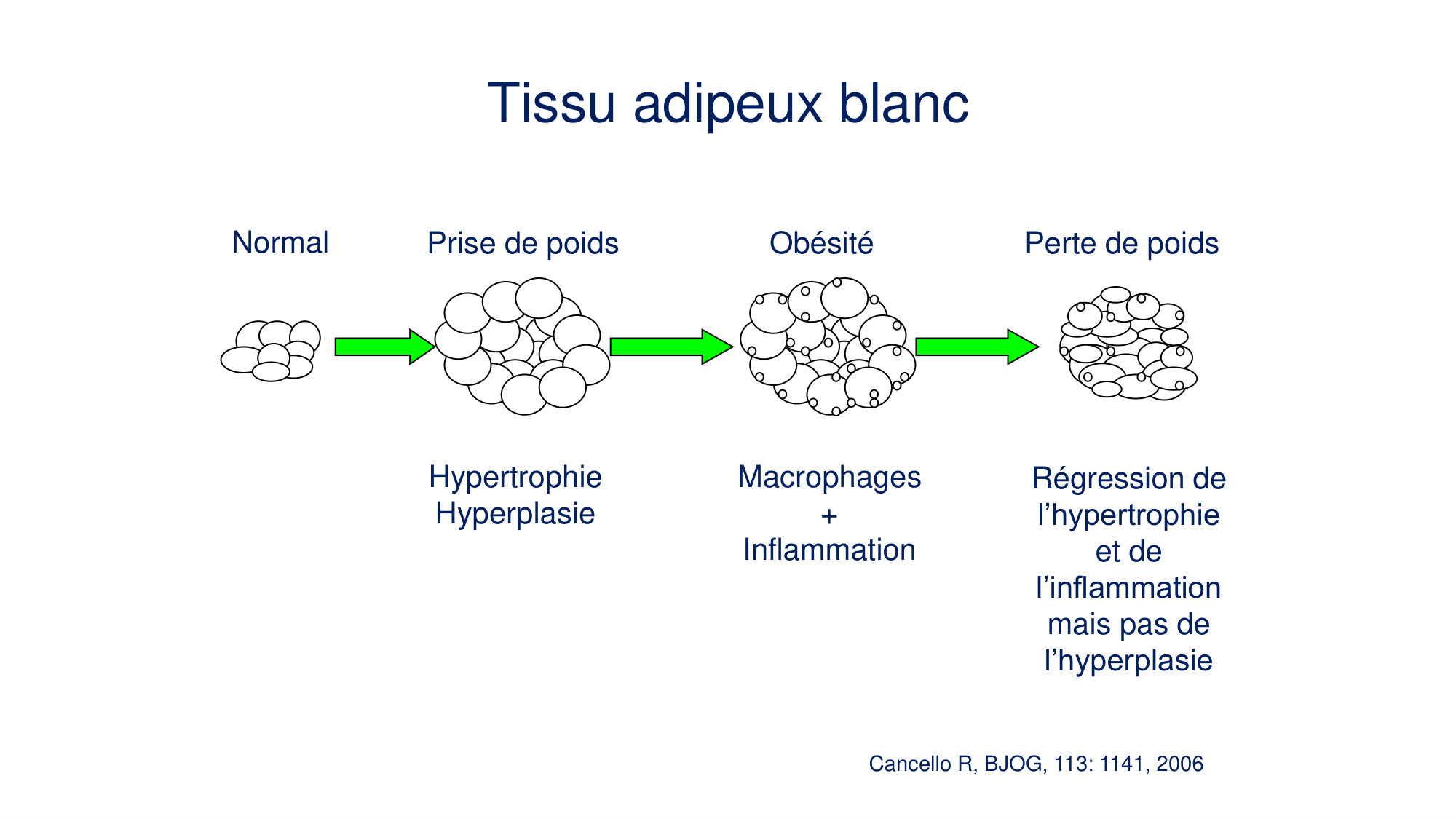 Balance énergétique 2026 page 25