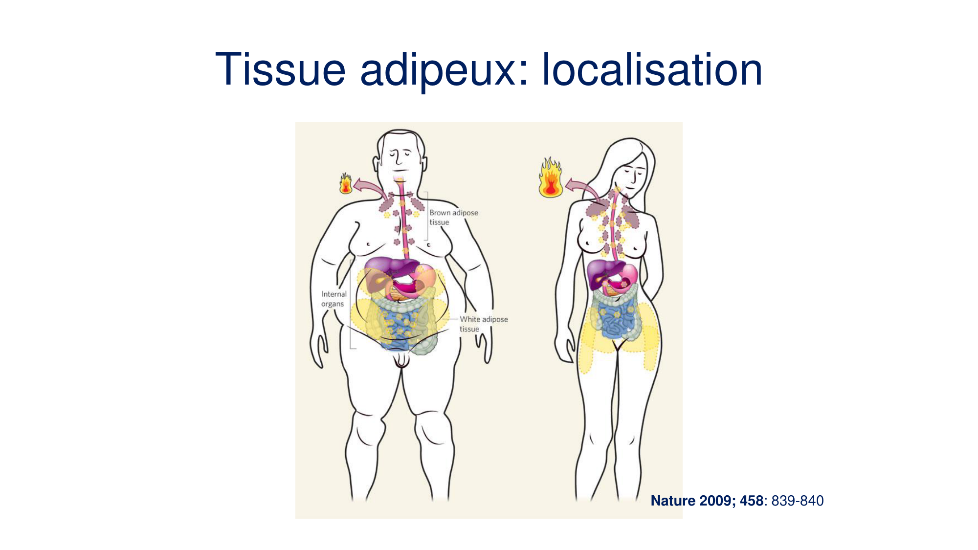 Balance énergétique 2026 page 31