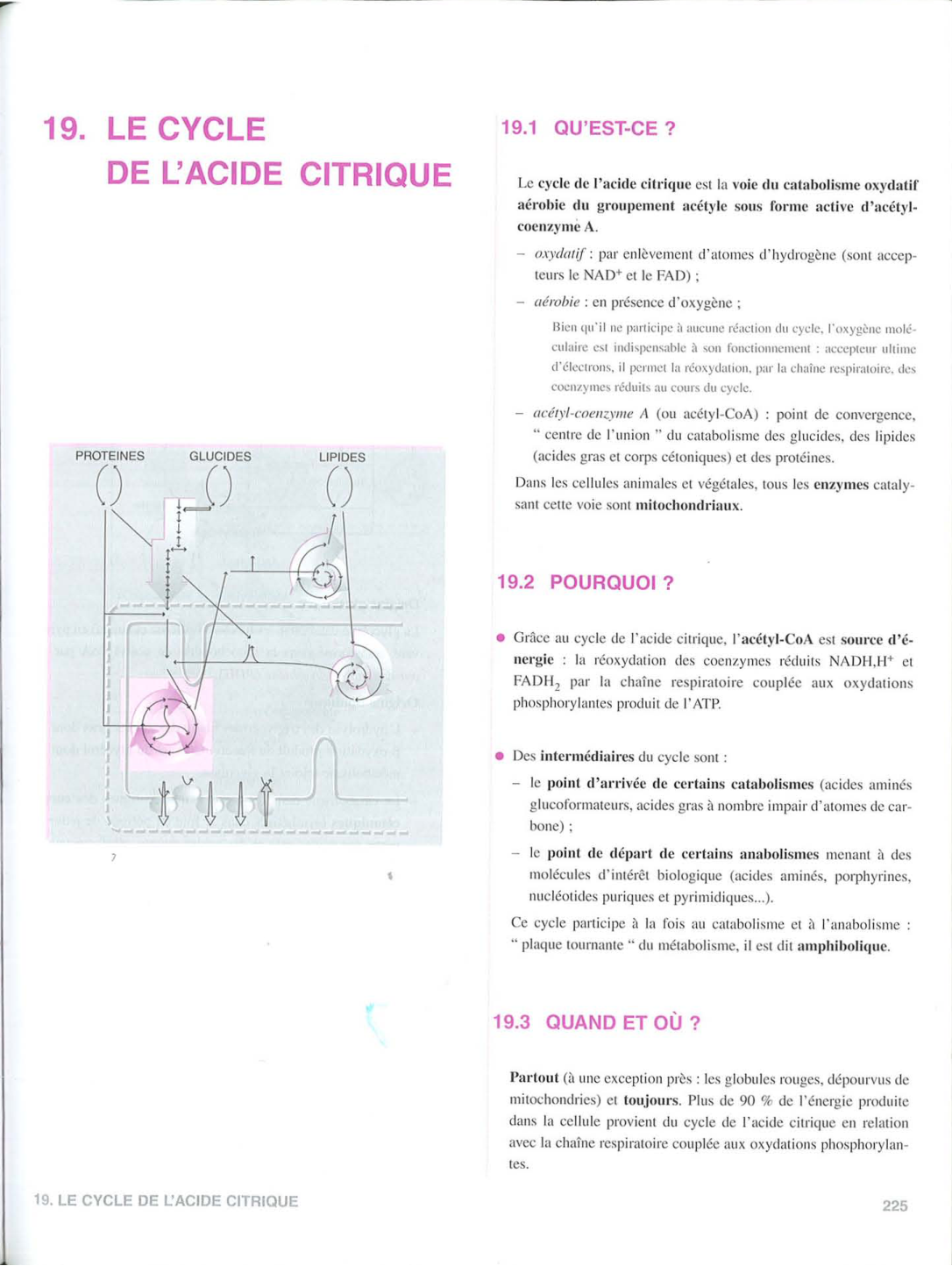 Moussard 3ed 155-156 225-227 page 3
