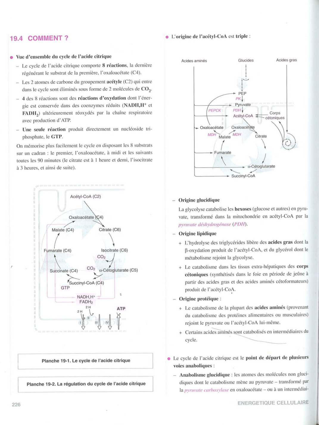 Moussard 3ed 155-156 225-227 page 4