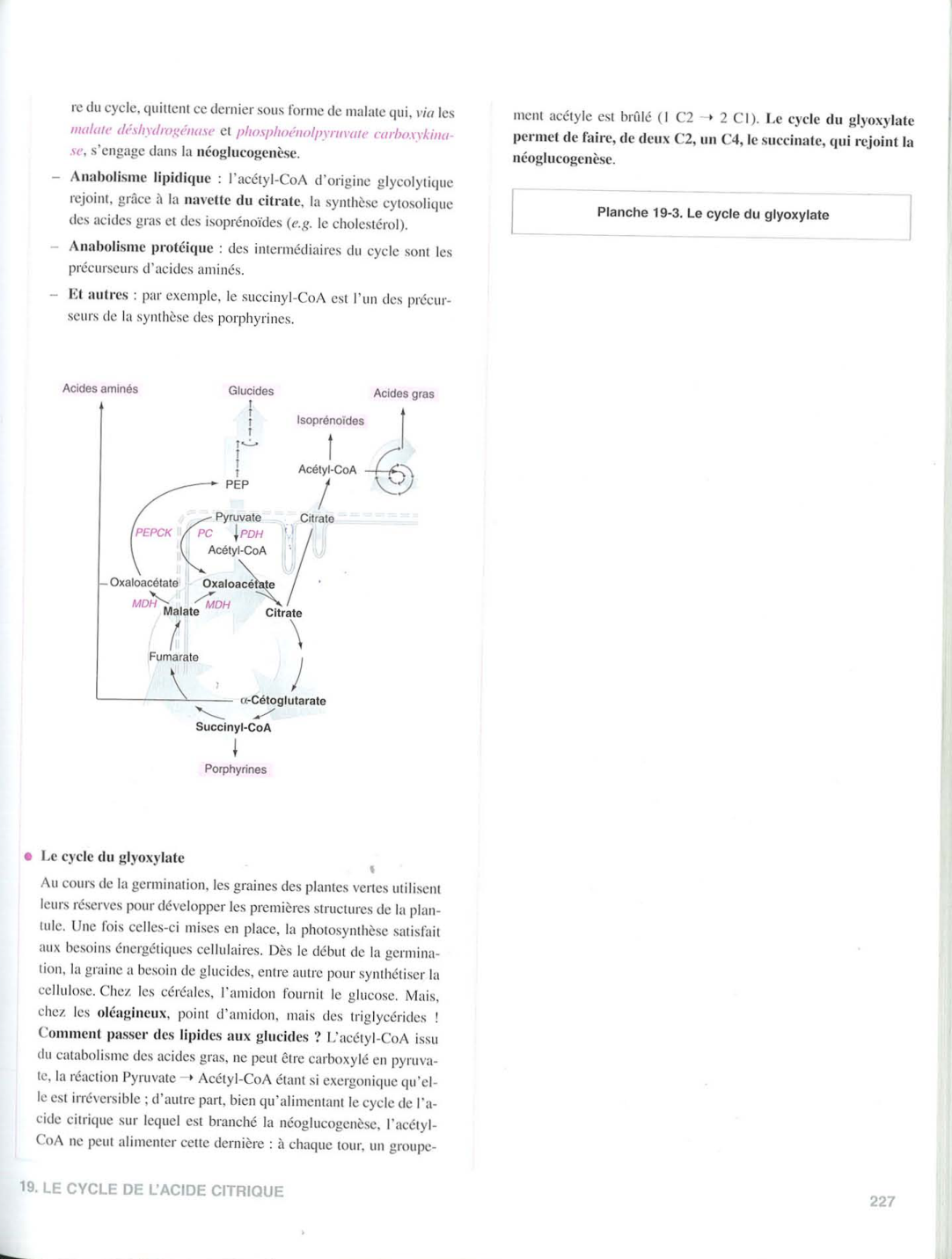 Moussard 3ed 155-156 225-227 page 5