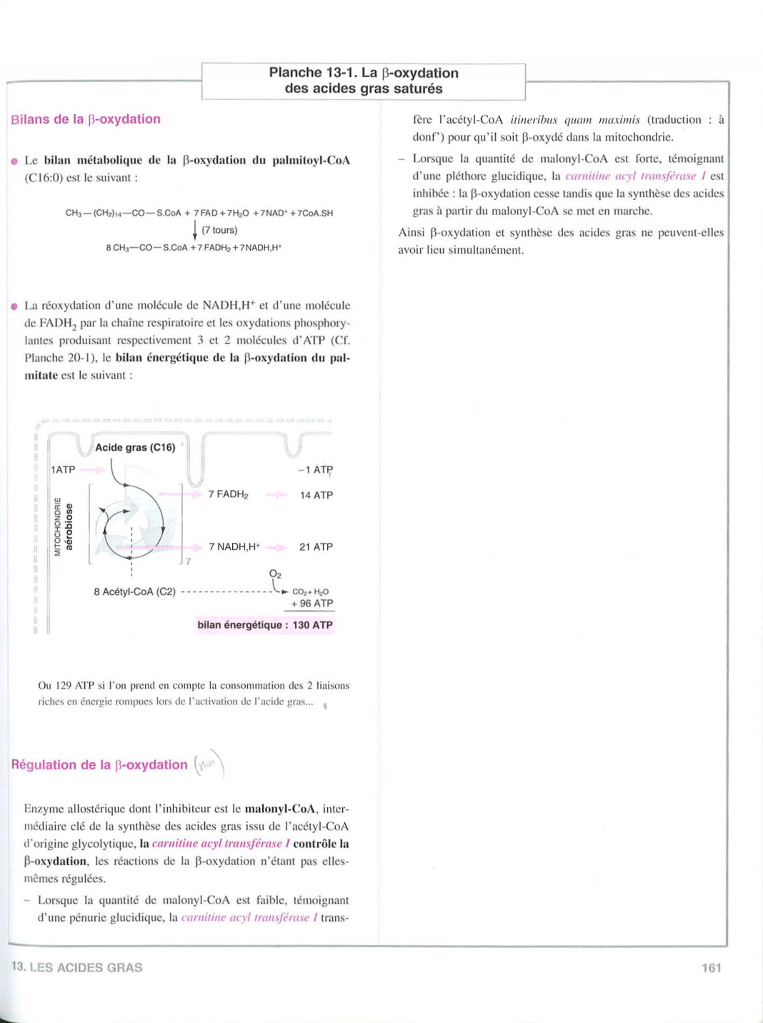 Moussard 3ed 155-157 161 169 172-173 158 166 page 4