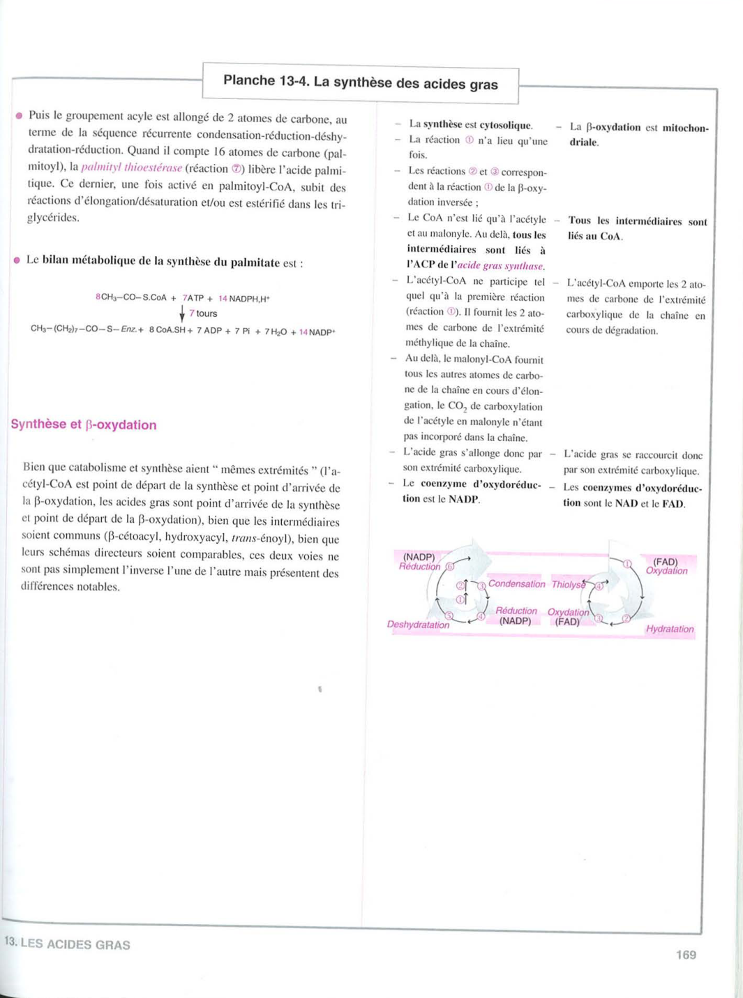 Moussard 3ed 155-157 161 169 172-173 158 166 page 5