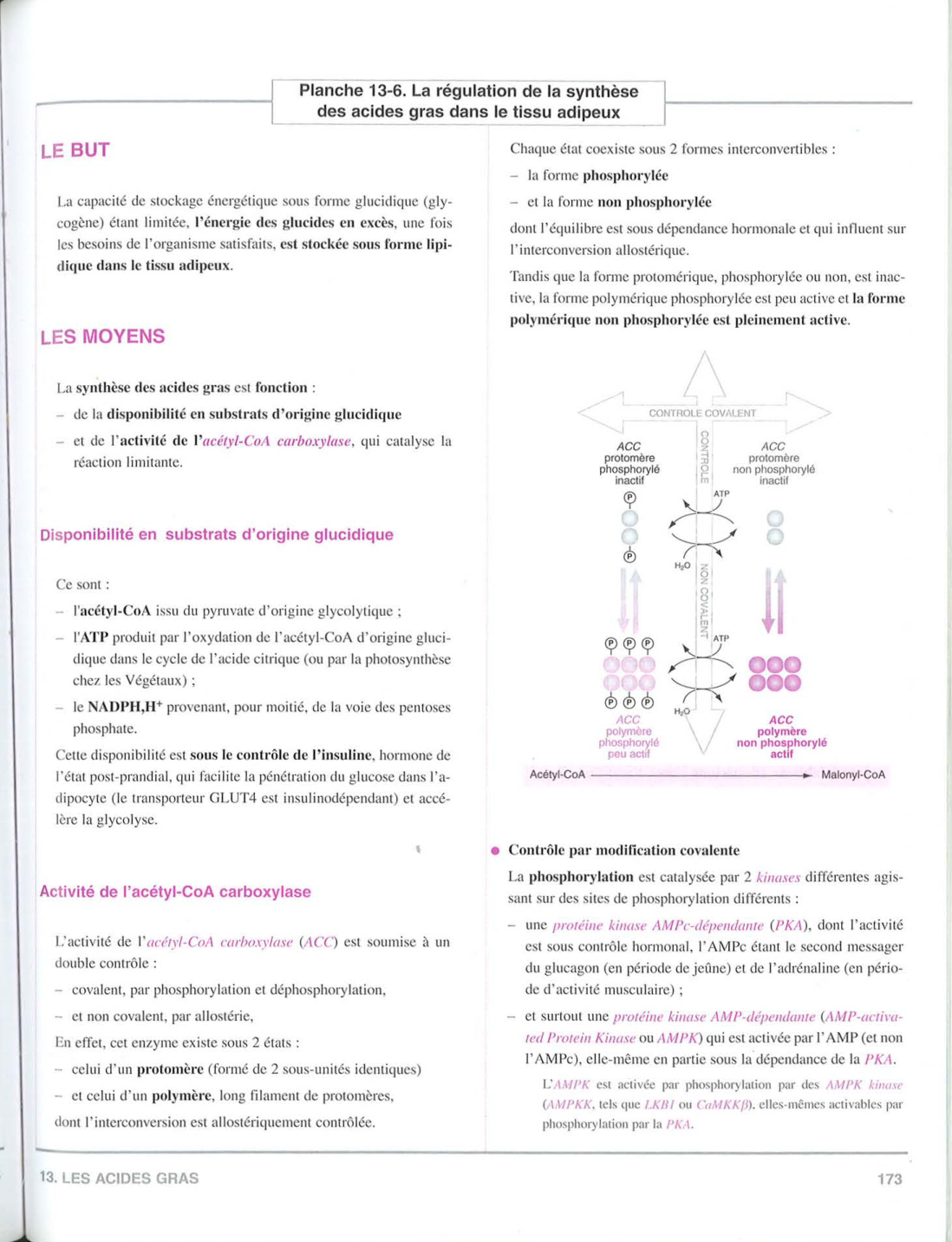 Moussard 3ed 155-157 161 169 172-173 158 166 page 7