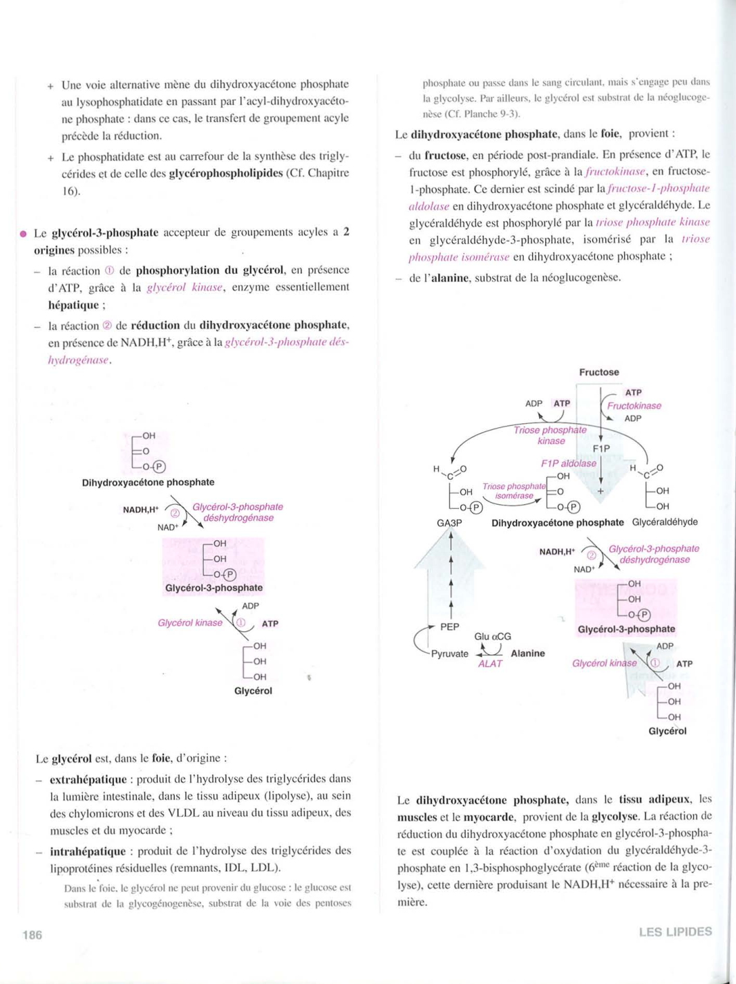 Moussard 3ed 183-189 page 4