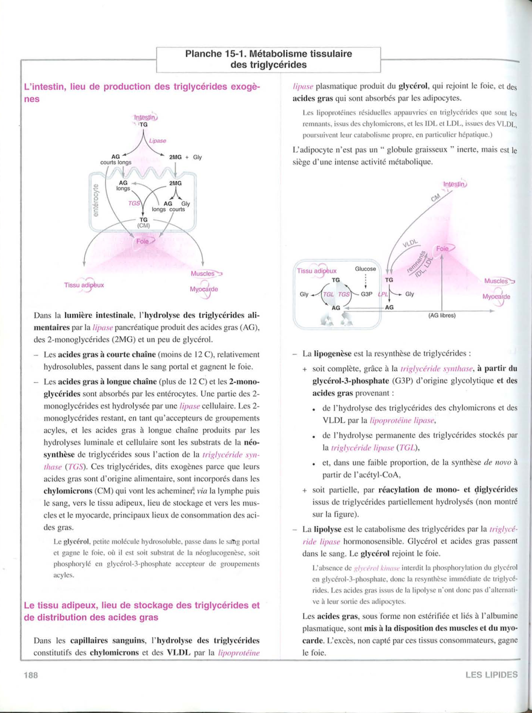 Moussard 3ed 183-189 page 6
