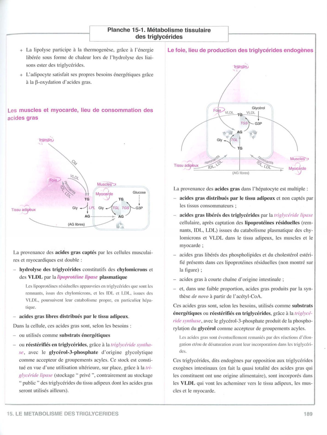Moussard 3ed 183-189 page 7