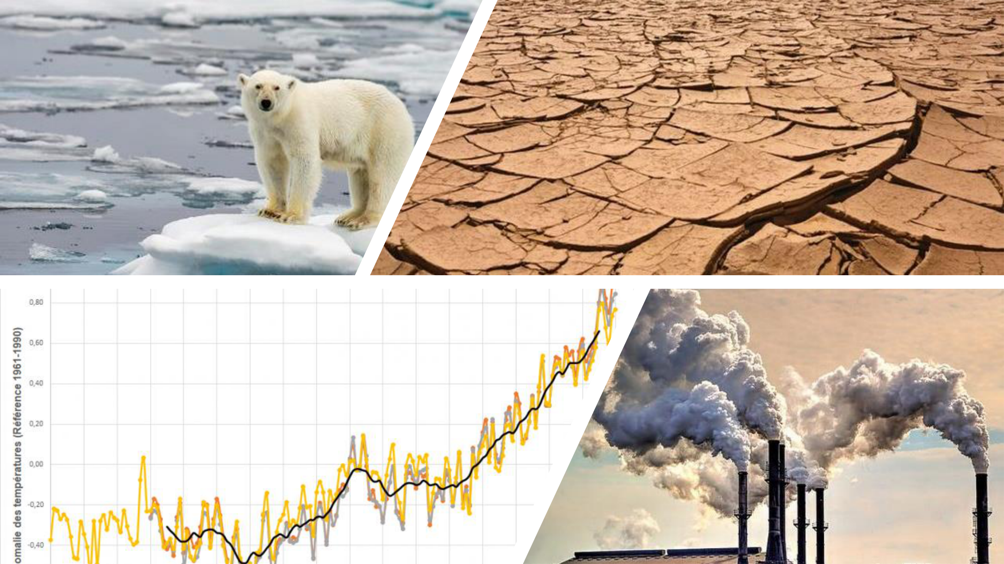 1-Santé planétaire11.2-LP page 3