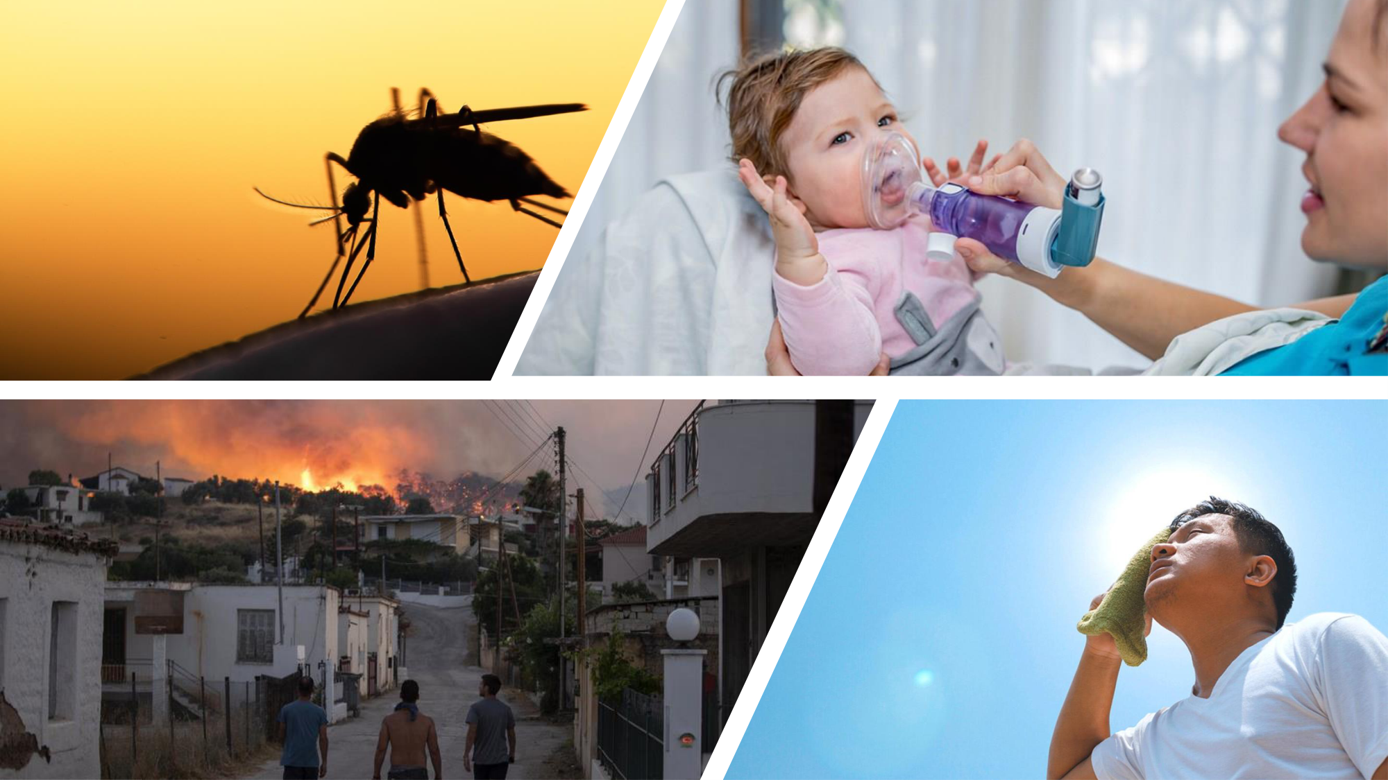 1-Santé planétaire11.2-LP page 4