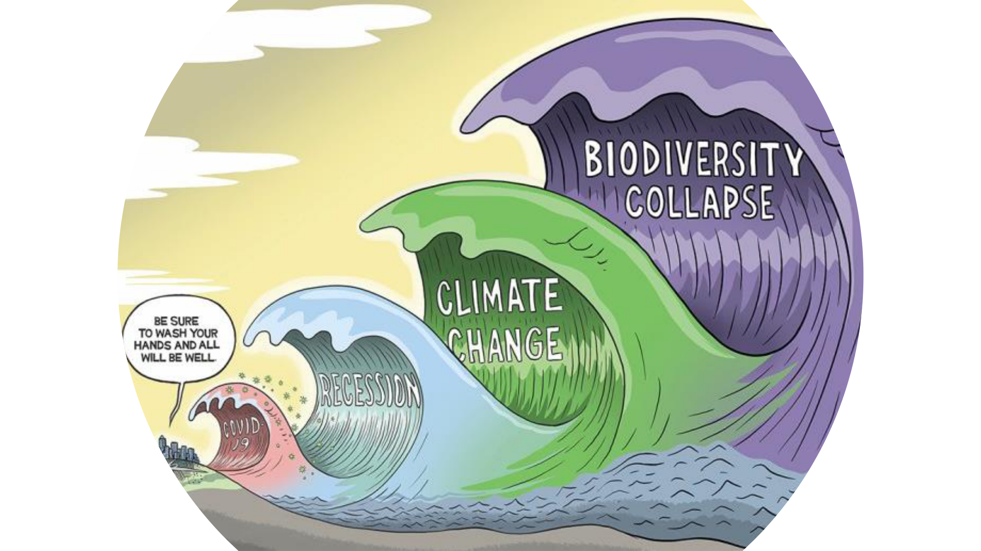 1-Santé planétaire11.2-LP page 5