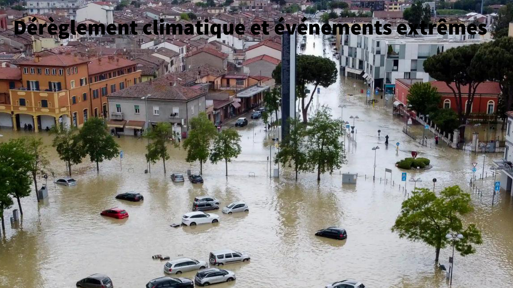 1-Santé planétaire11.2-LP page 17