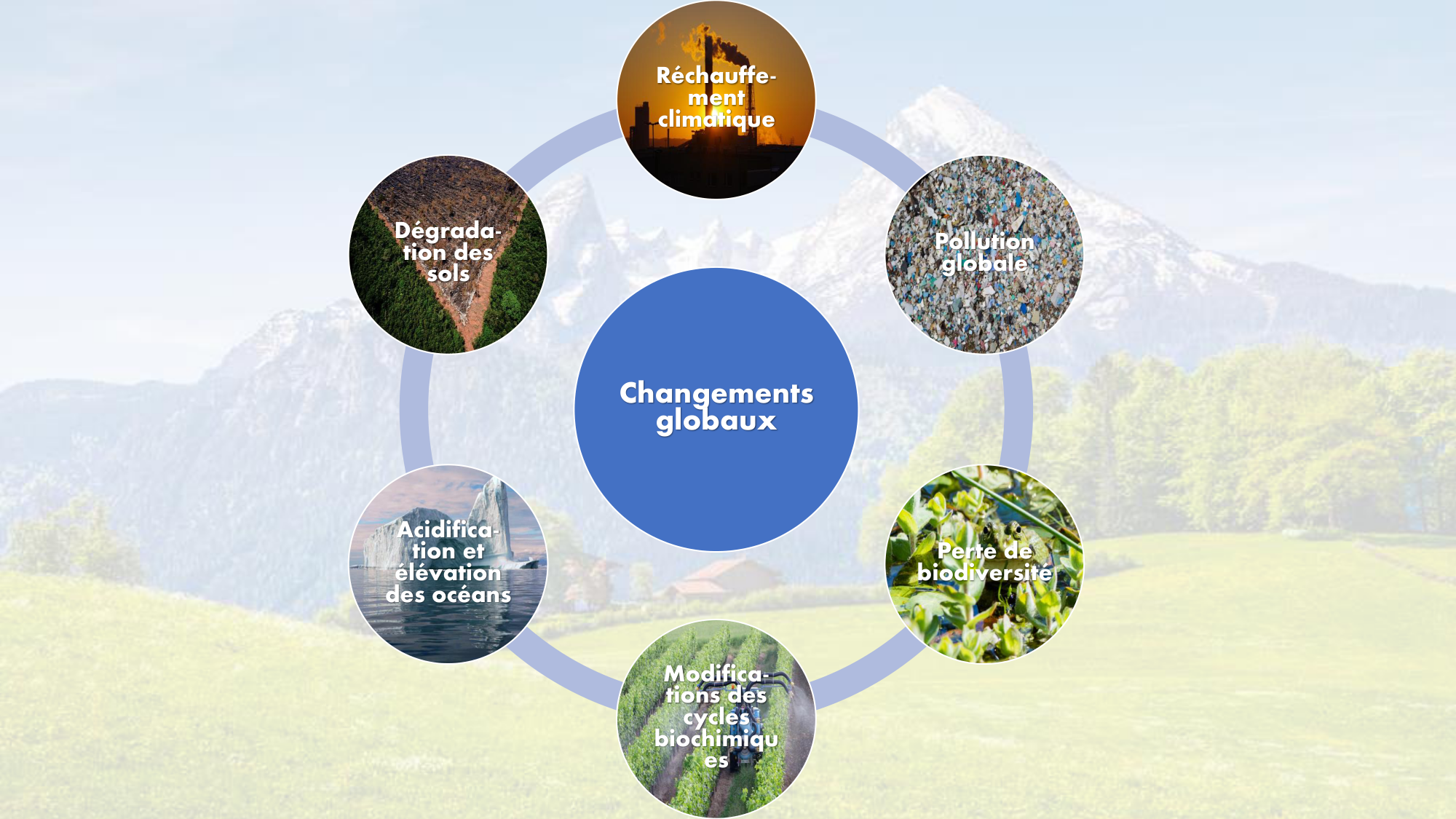 1-Santé planétaire11.2-LP page 25
