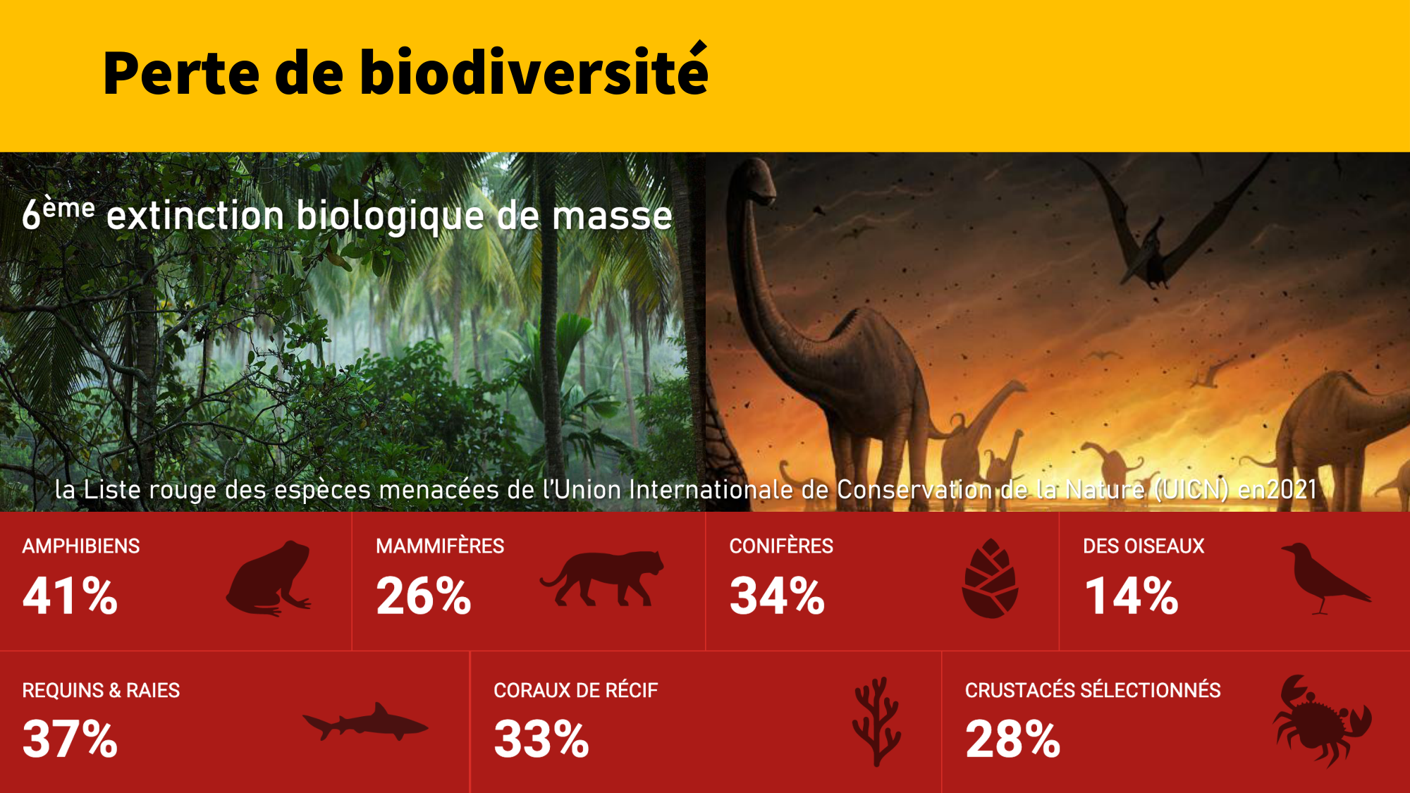 1-Santé planétaire11.2-LP page 29