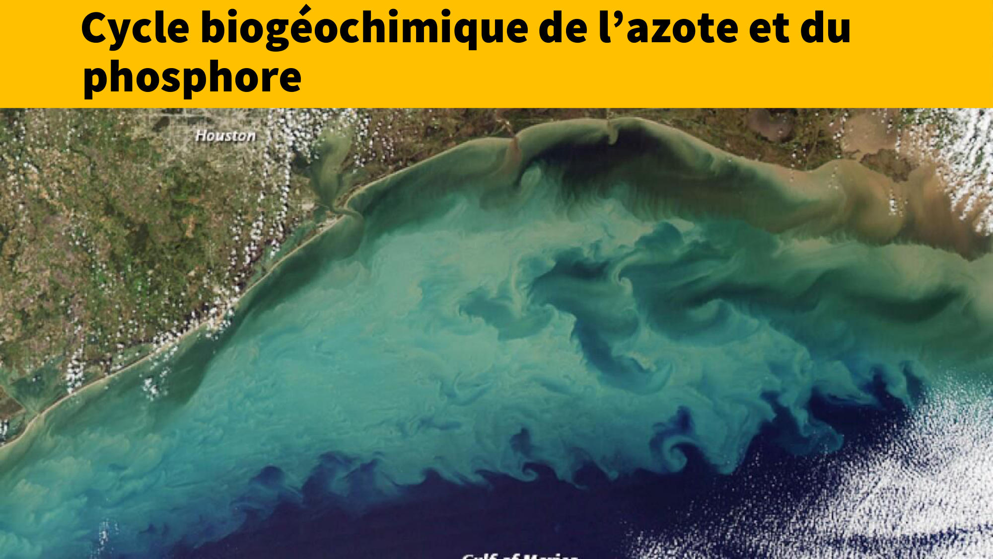 1-Santé planétaire11.2-LP page 31