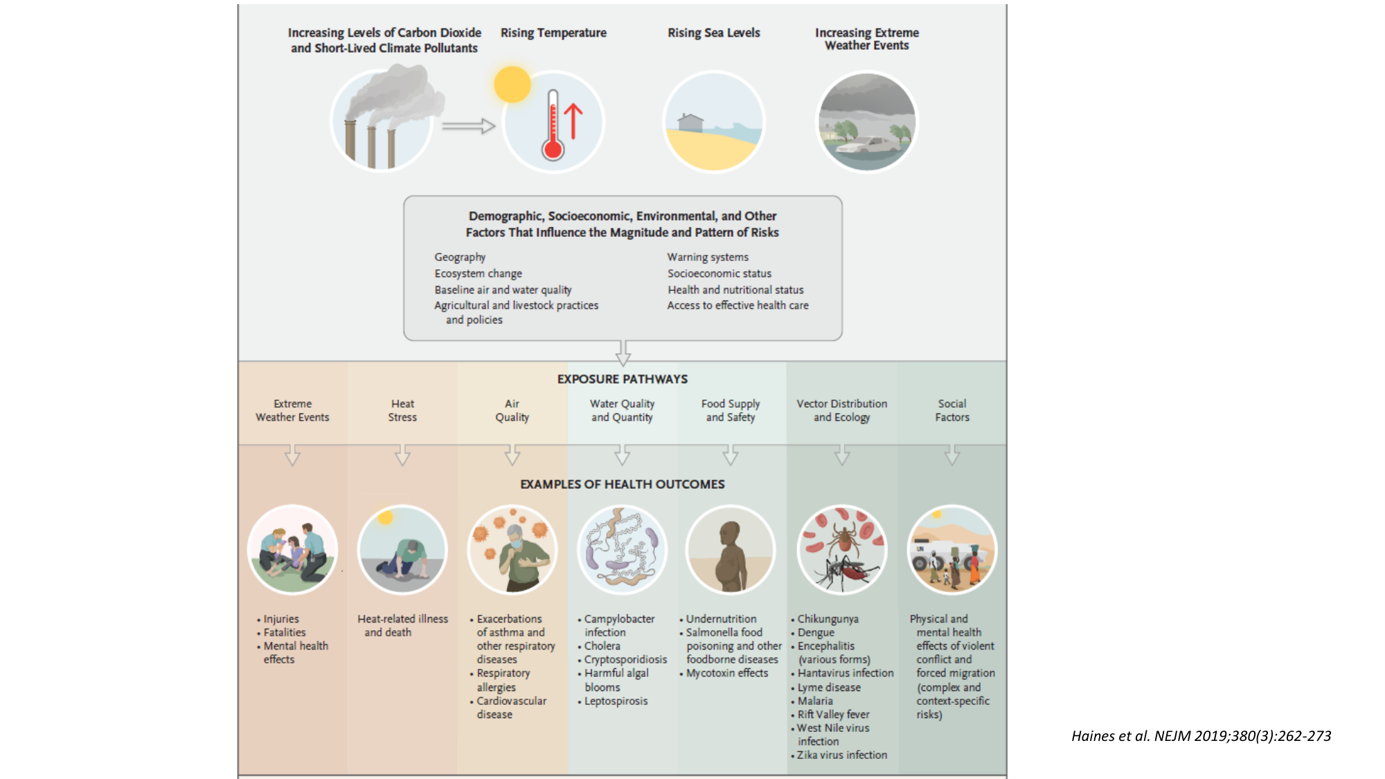 2-Santé planétaire 2026 Tornare Jackson page 15