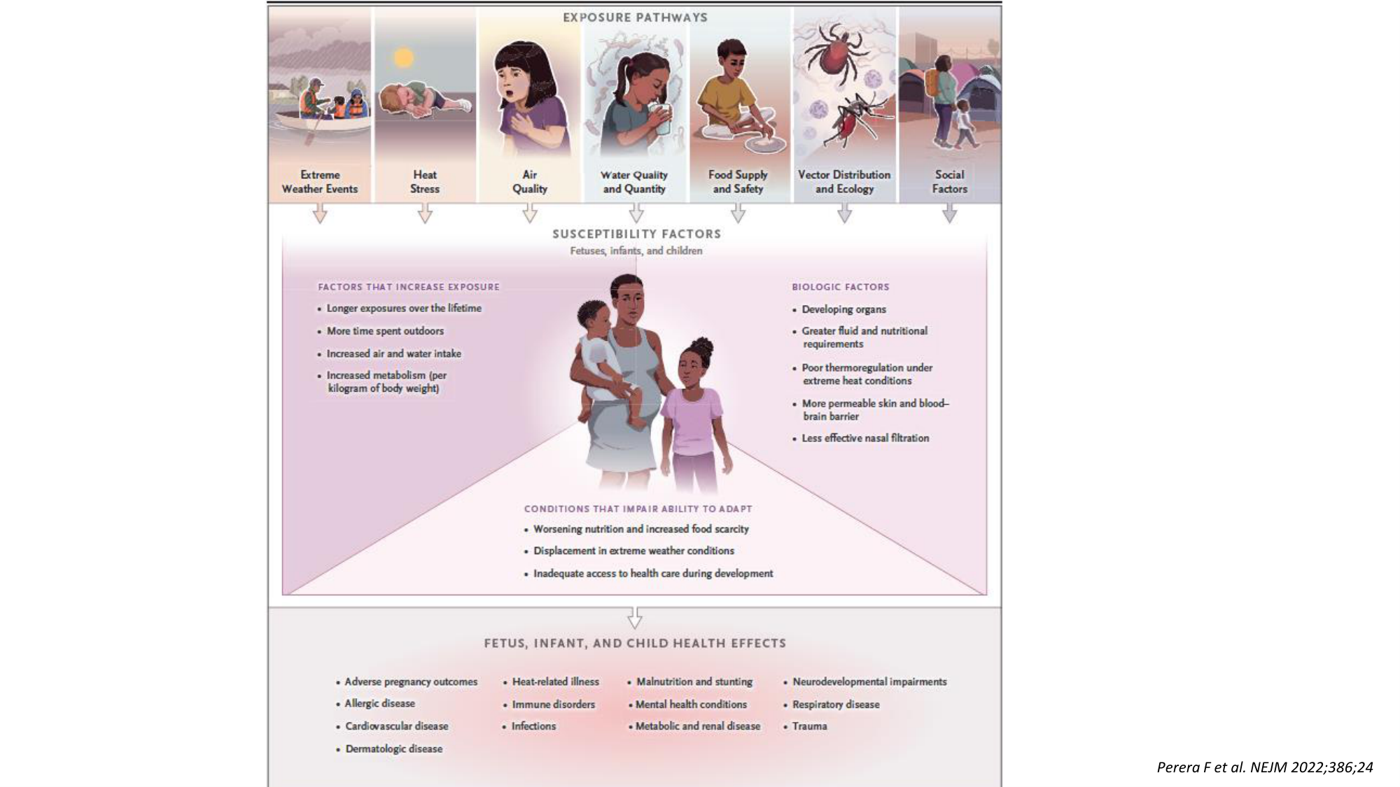 2-Santé planétaire 2026 Tornare Jackson page 16