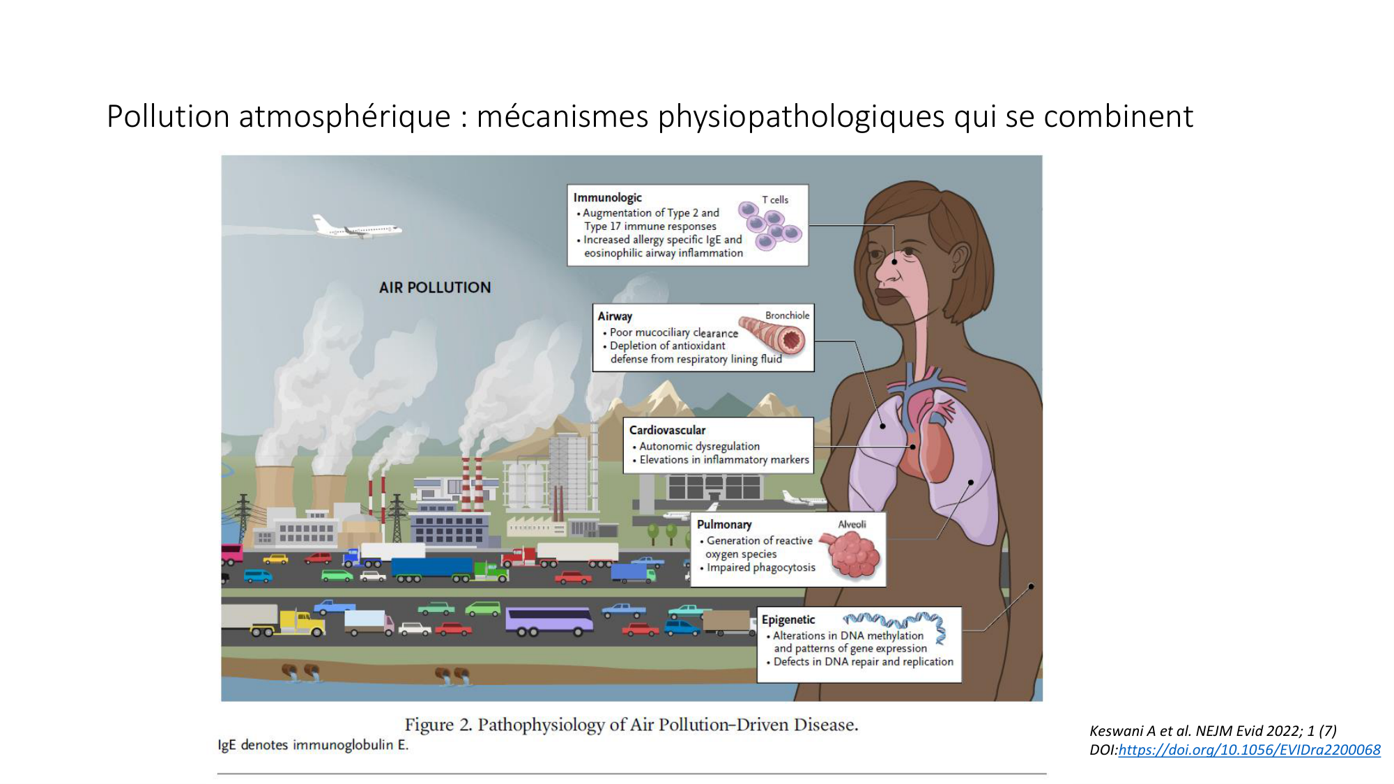 2-Santé planétaire 2026 Tornare Jackson page 17