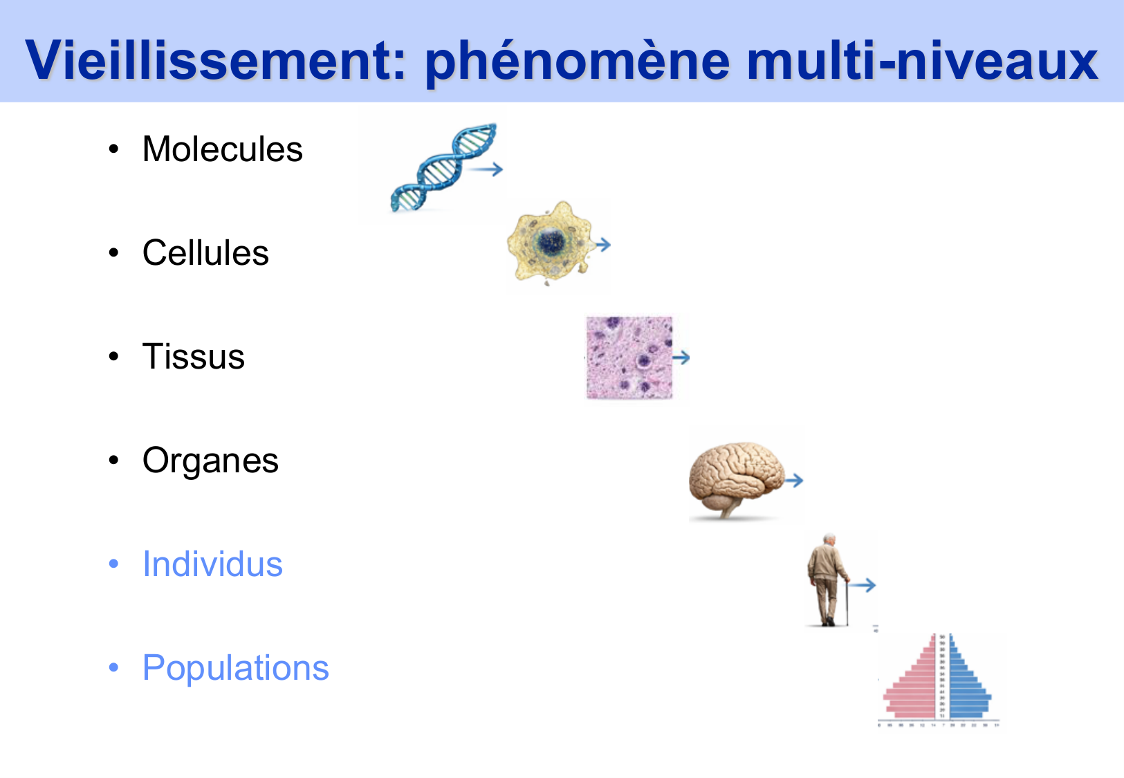 2026 PSS Modeles Populationnels Futur JF page 13