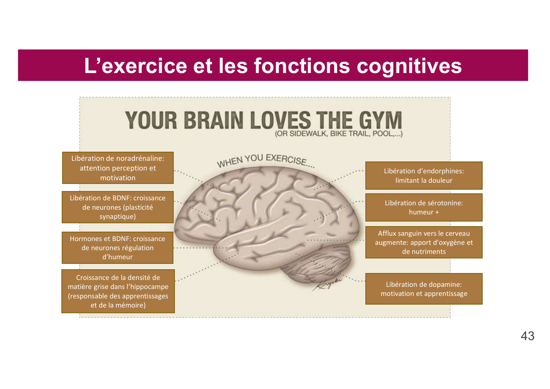 2026 Igloi cours med pps page 41