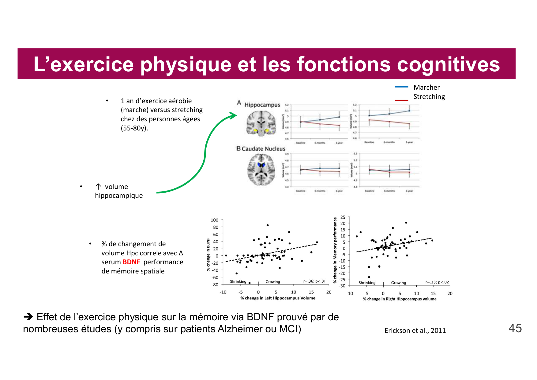 2026 Igloi cours med pps page 43