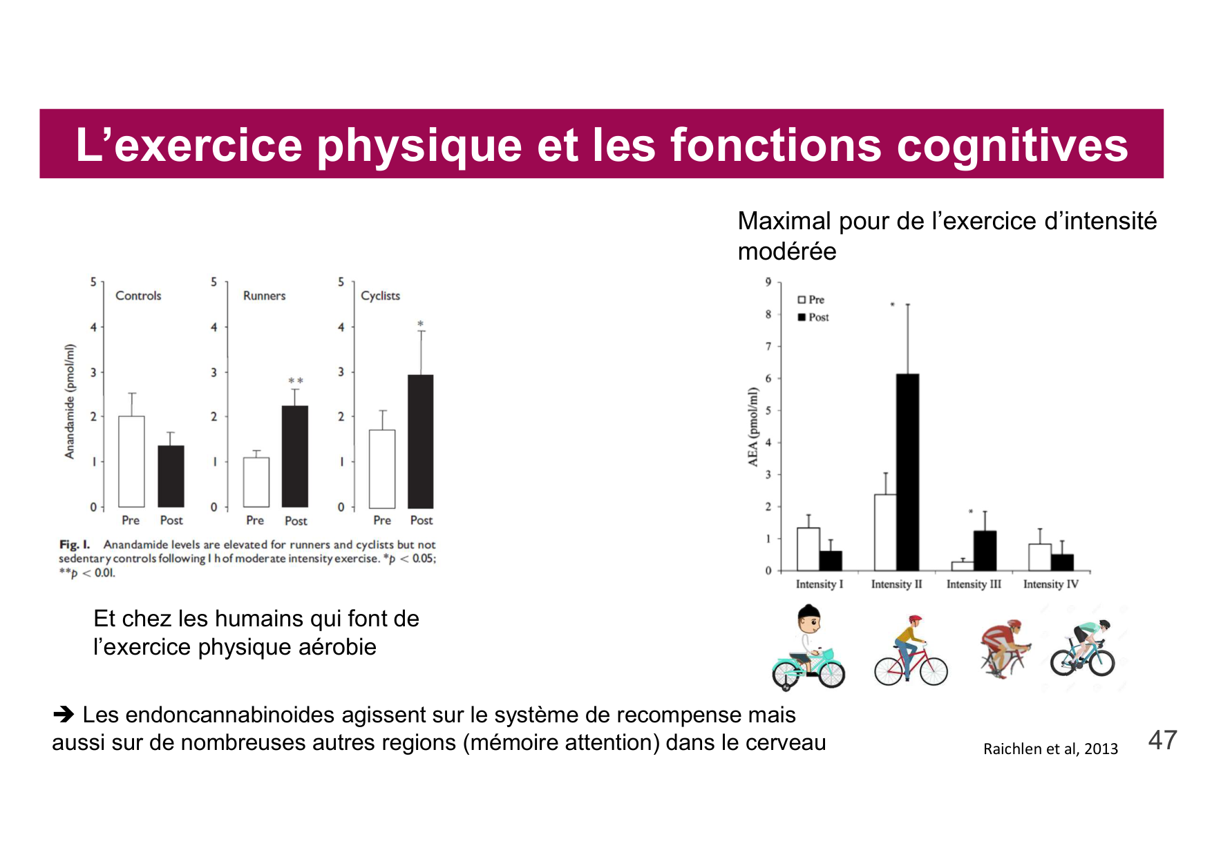 2026 Igloi cours med pps page 45