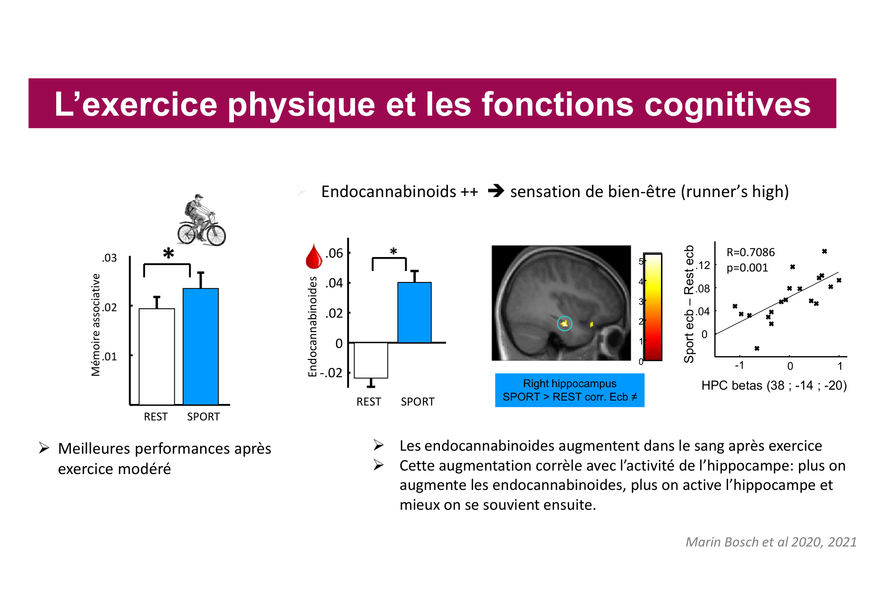 2026 Igloi cours med pps page 46