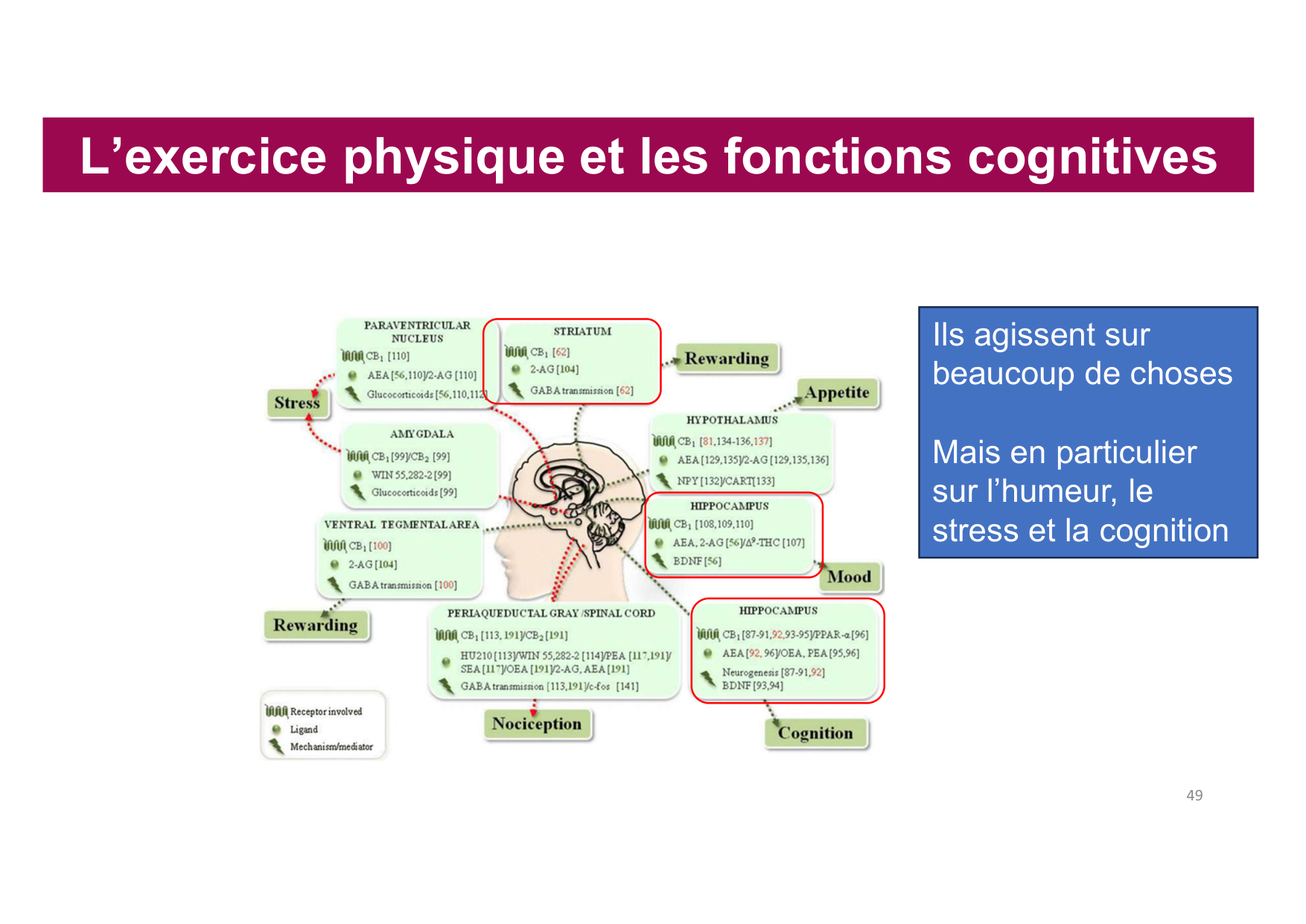 2026 Igloi cours med pps page 47