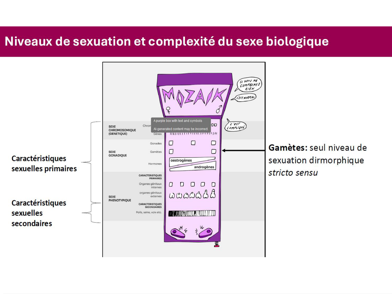 2026 LUTHY Bilan-thème déterminants-sociauxetpopulationnelsARD page 44