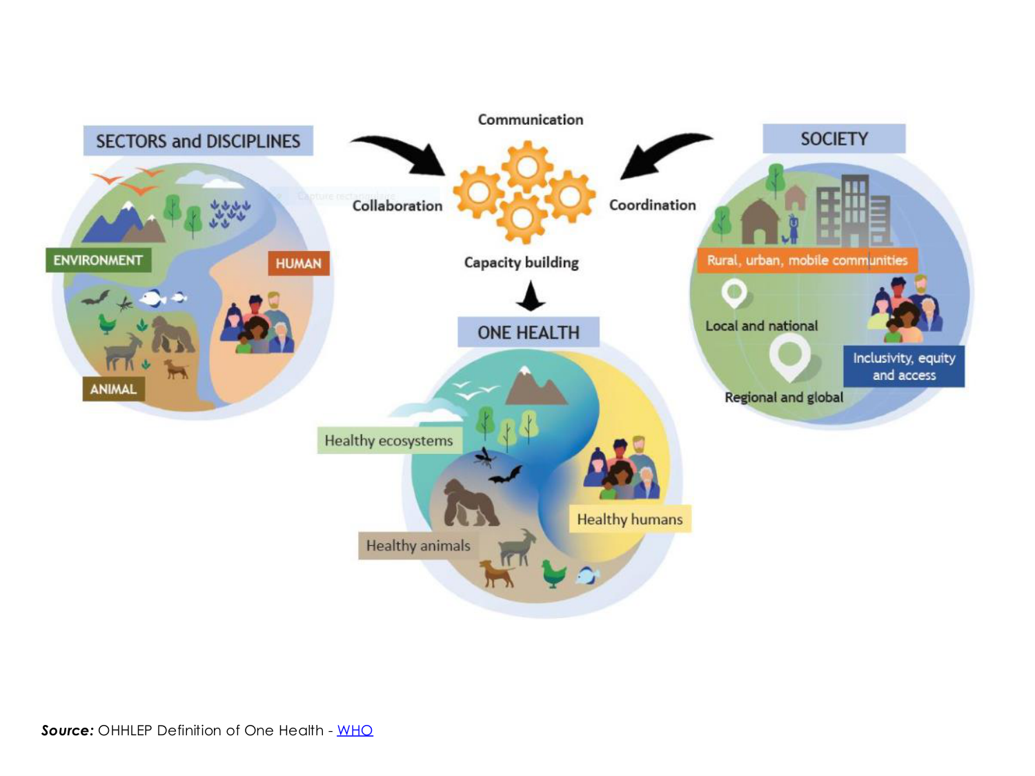 3-Santé planétaire 2026 - RuizdeCastaneda page 2