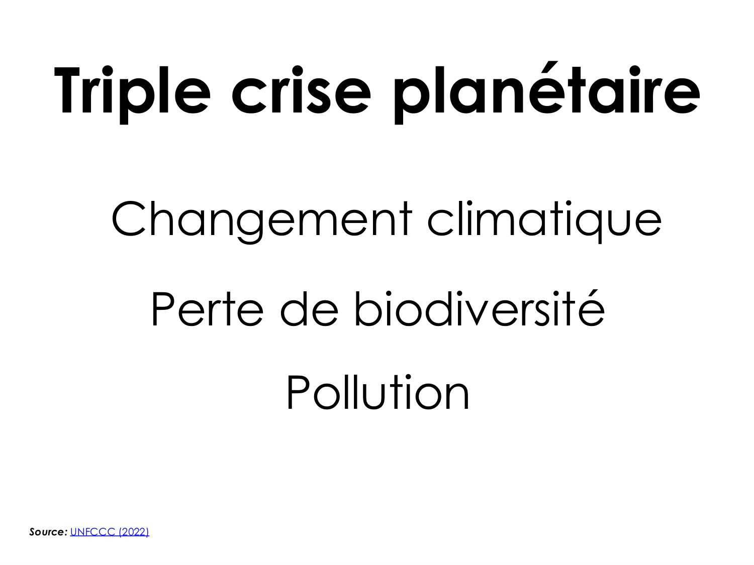 3-Santé planétaire 2026 - RuizdeCastaneda page 3
