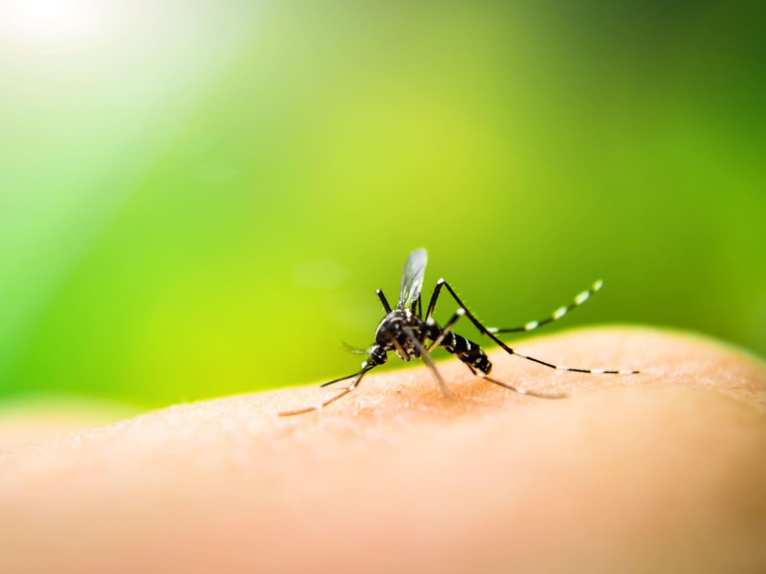 3-Santé planétaire 2026 - RuizdeCastaneda page 6