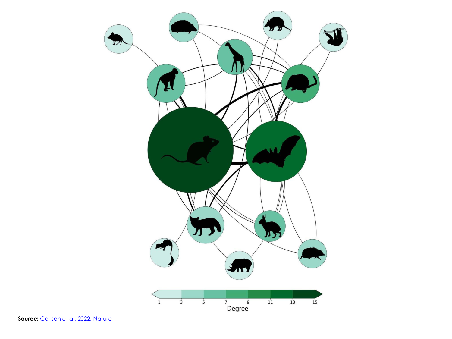 3-Santé planétaire 2026 - RuizdeCastaneda page 10