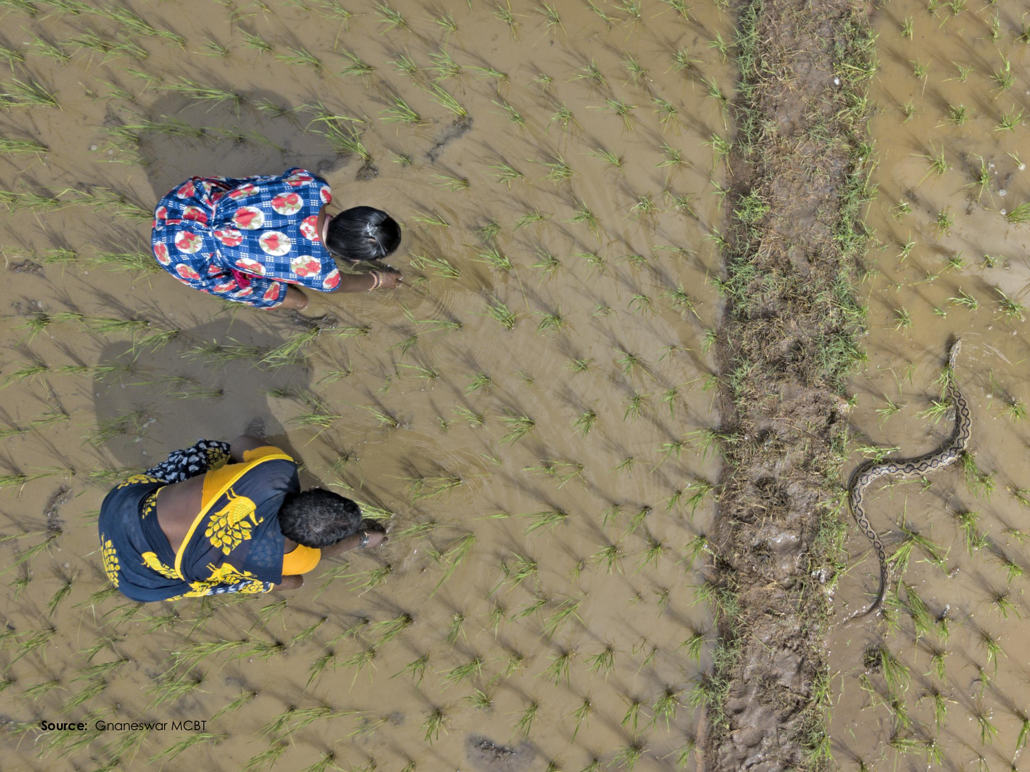 3-Santé planétaire 2026 - RuizdeCastaneda page 13