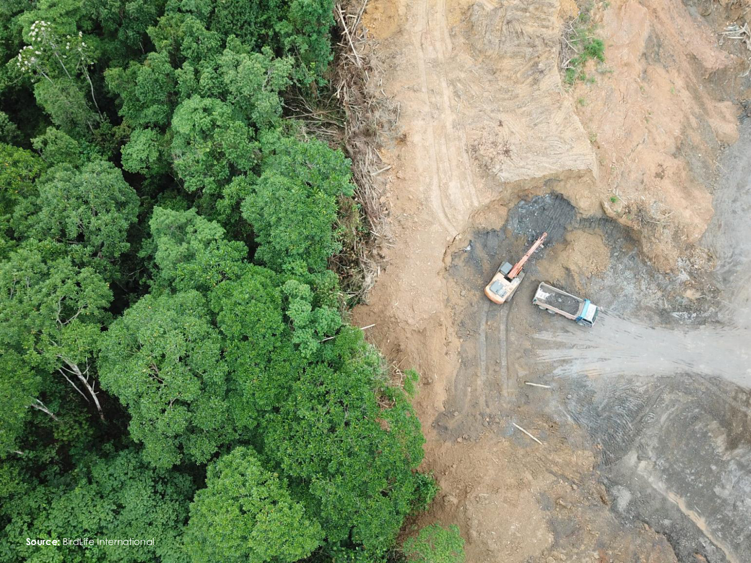 3-Santé planétaire 2026 - RuizdeCastaneda page 20