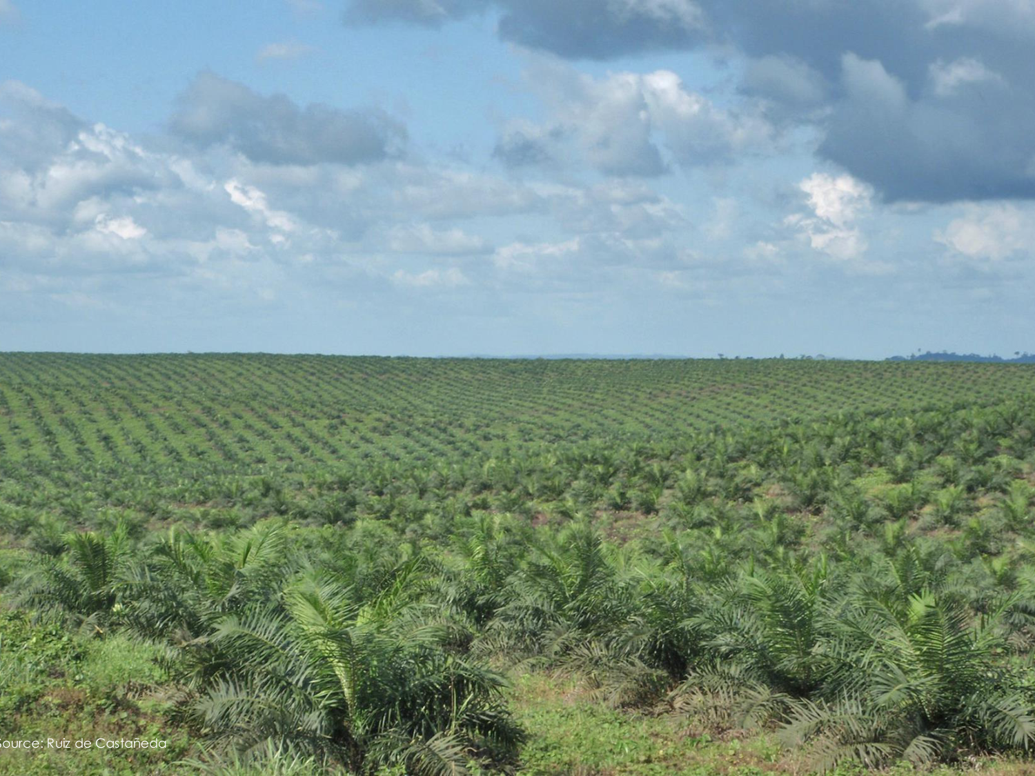 3-Santé planétaire 2026 - RuizdeCastaneda page 21