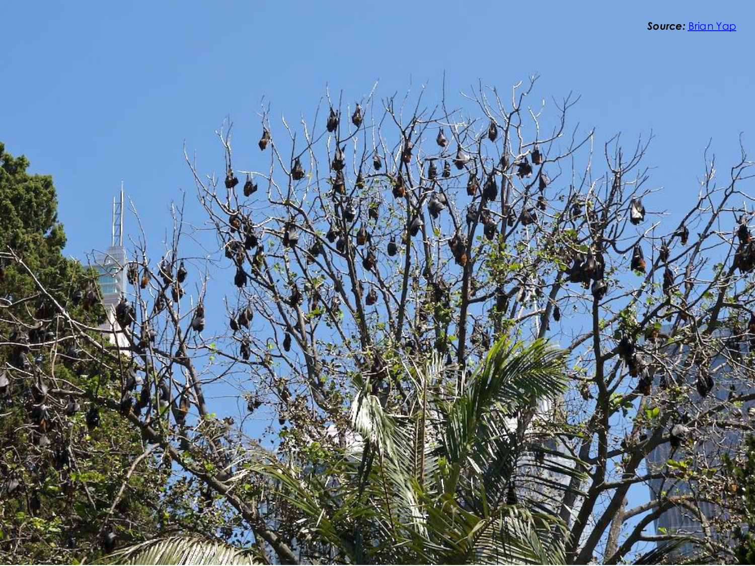 3-Santé planétaire 2026 - RuizdeCastaneda page 23