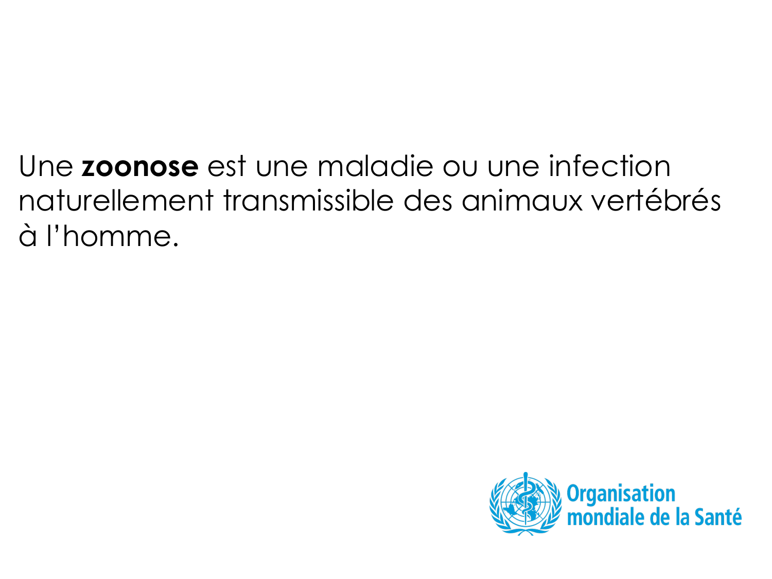 3-Santé planétaire 2026 - RuizdeCastaneda page 28
