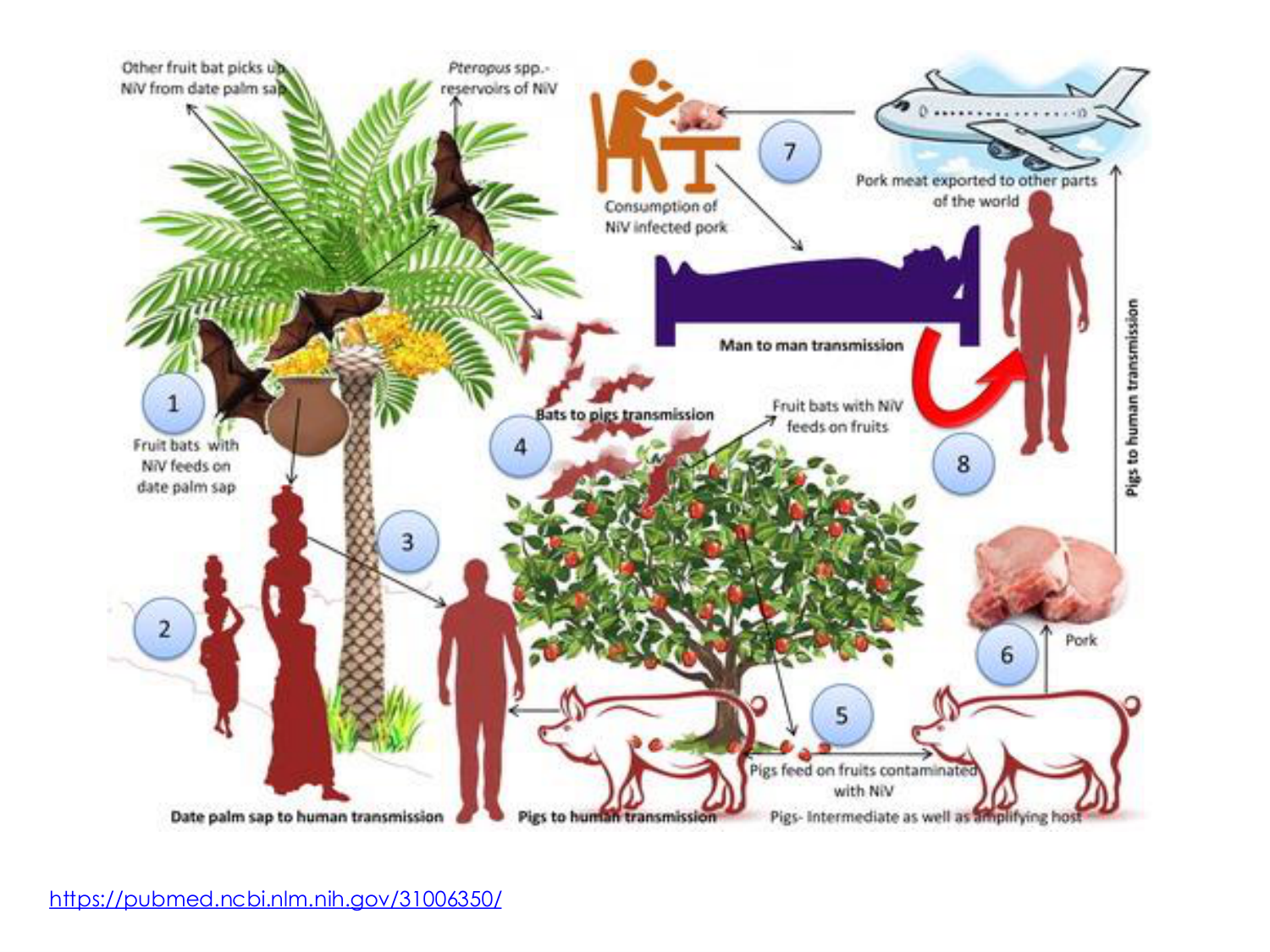 3-Santé planétaire 2026 - RuizdeCastaneda page 32