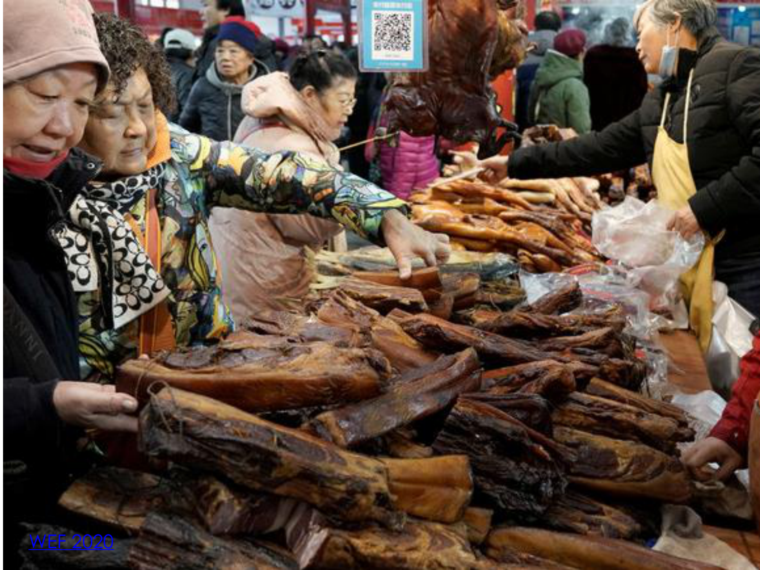 3-Santé planétaire 2026 - RuizdeCastaneda page 33