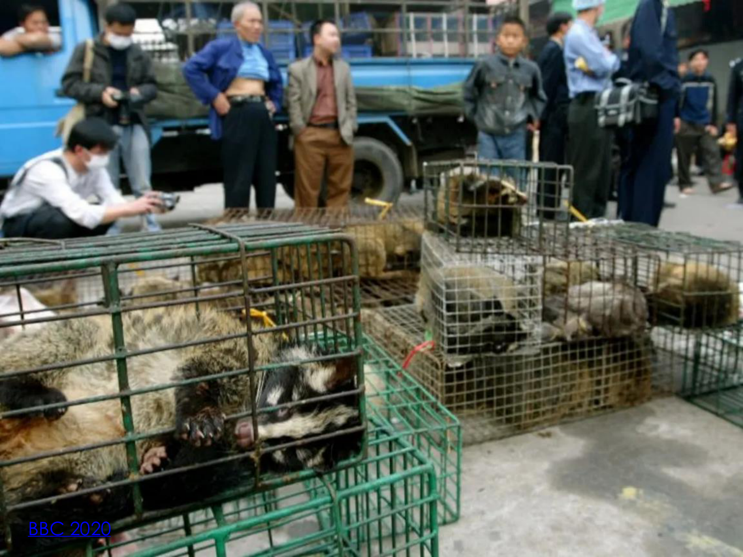 3-Santé planétaire 2026 - RuizdeCastaneda page 34