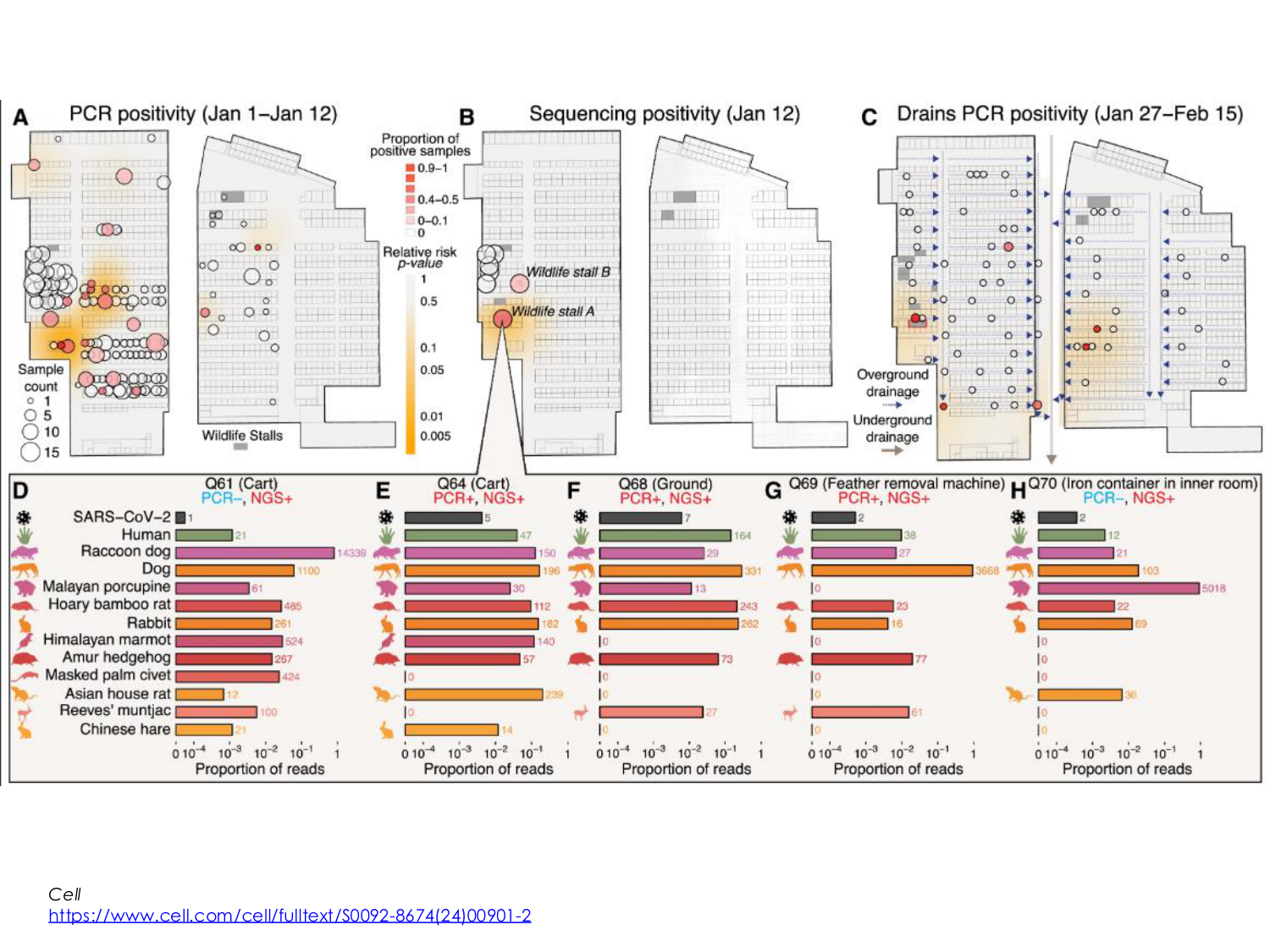 3-Santé planétaire 2026 - RuizdeCastaneda page 37