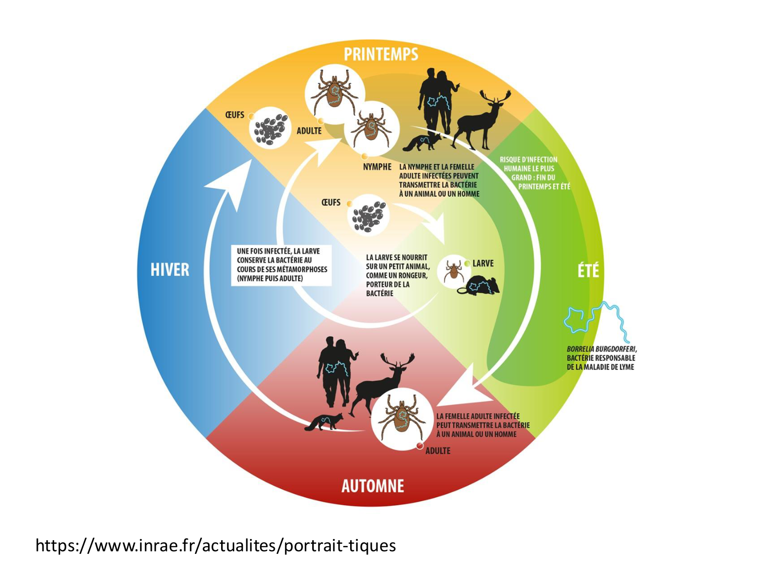3-Santé planétaire 2026 - RuizdeCastaneda page 39
