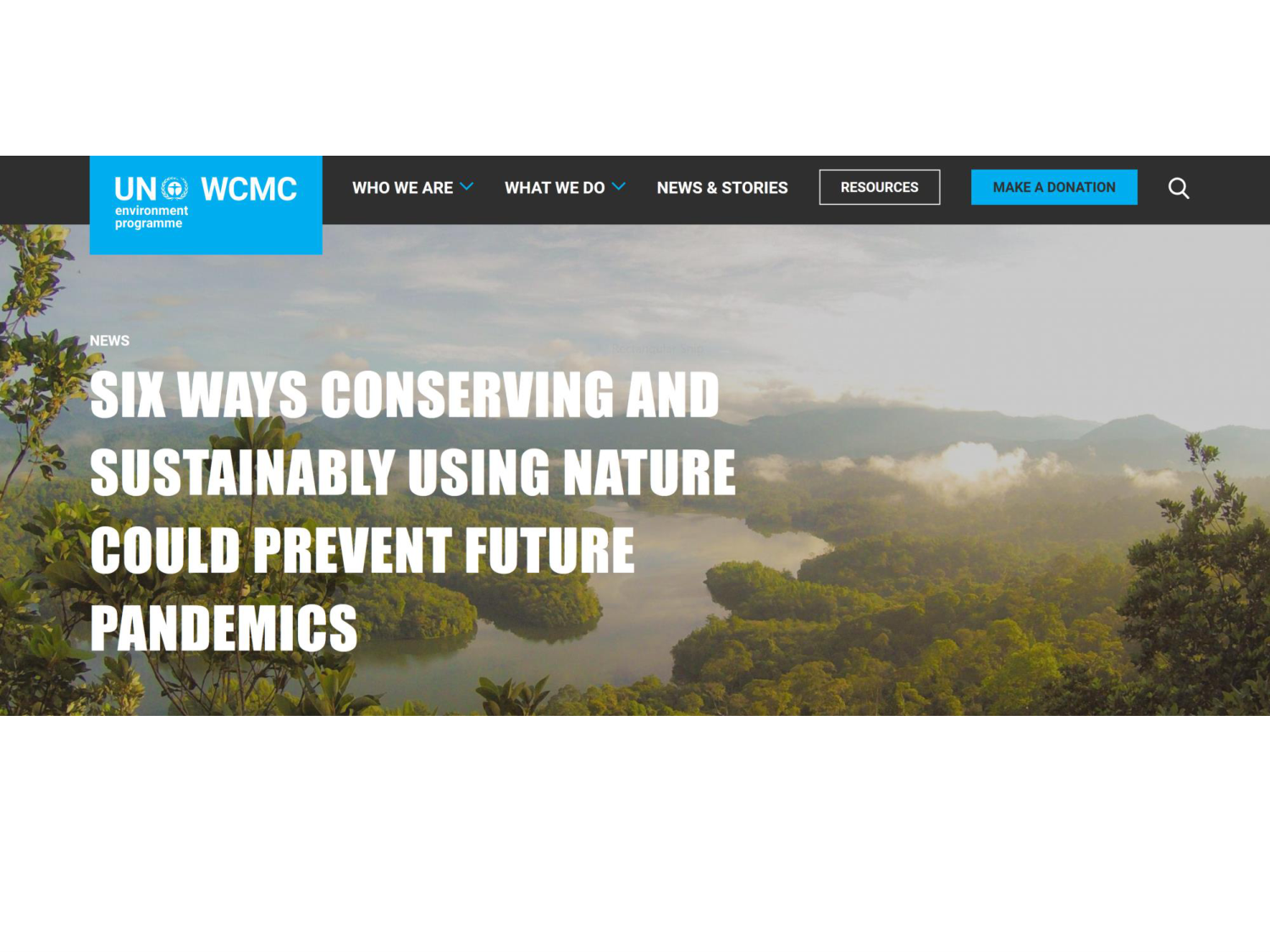 3-Santé planétaire 2026 - RuizdeCastaneda page 42