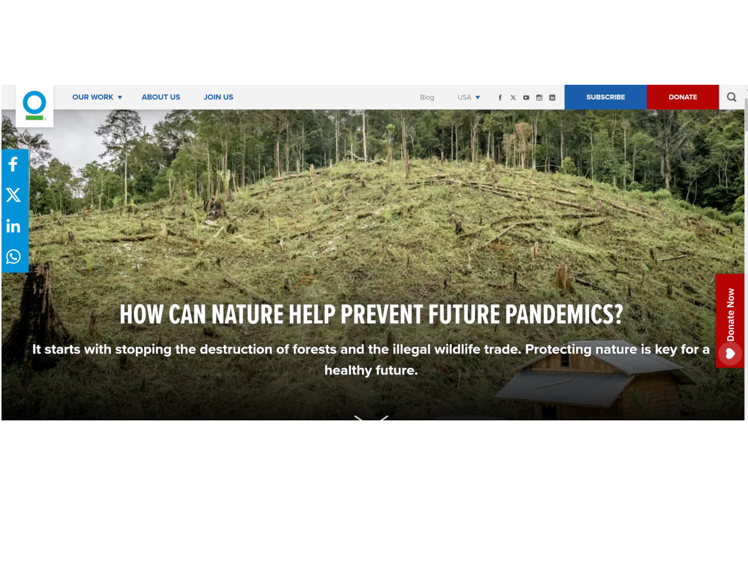 3-Santé planétaire 2026 - RuizdeCastaneda page 43